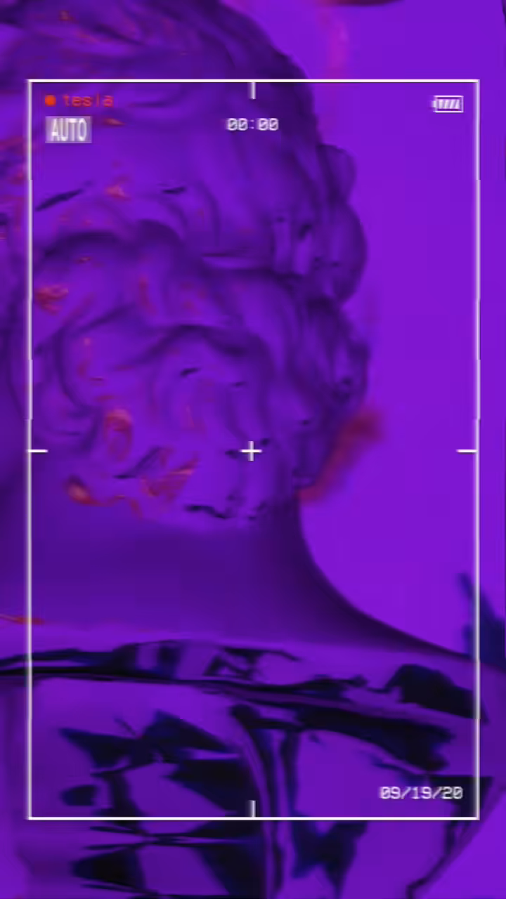 Purple Medusa