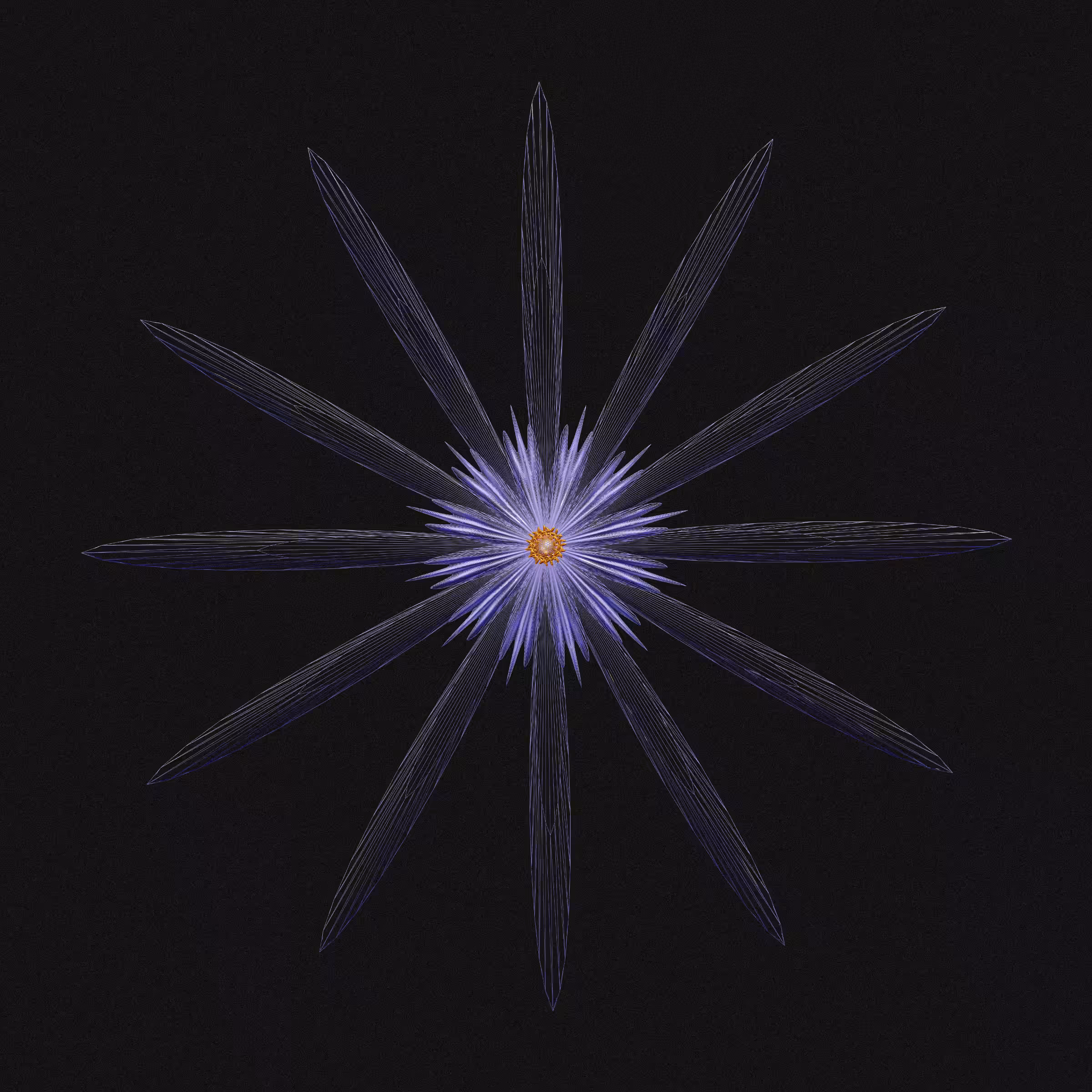 Geophylla #207