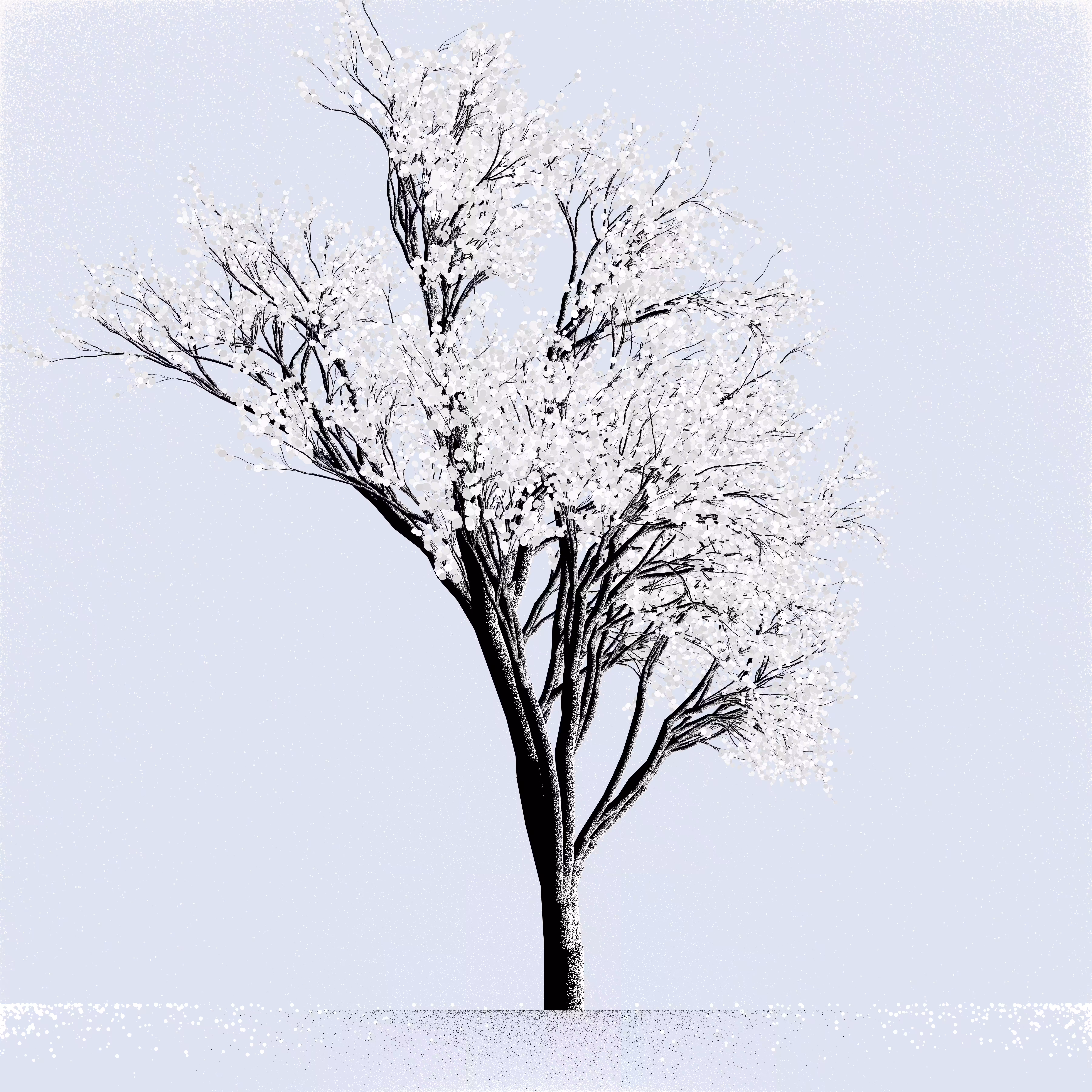 Snow Tree #30