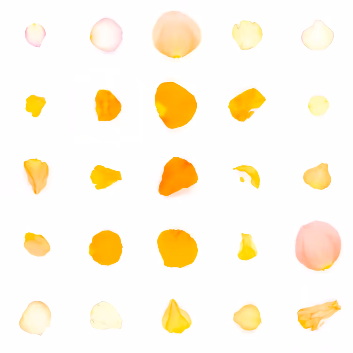 Infinite Petals 5x5#20089