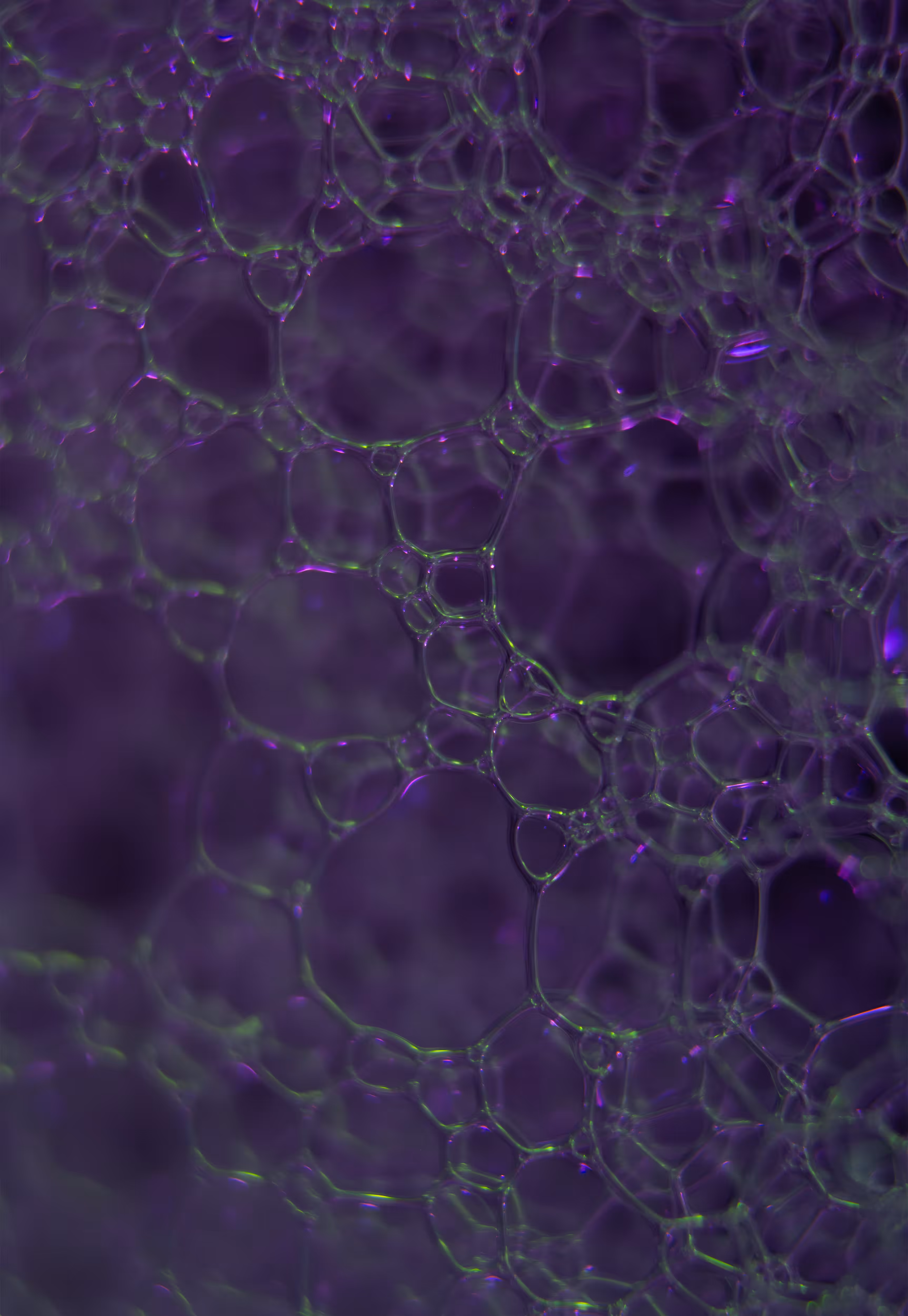 Abstract World of Soap Bubbles: #211 Bubbles