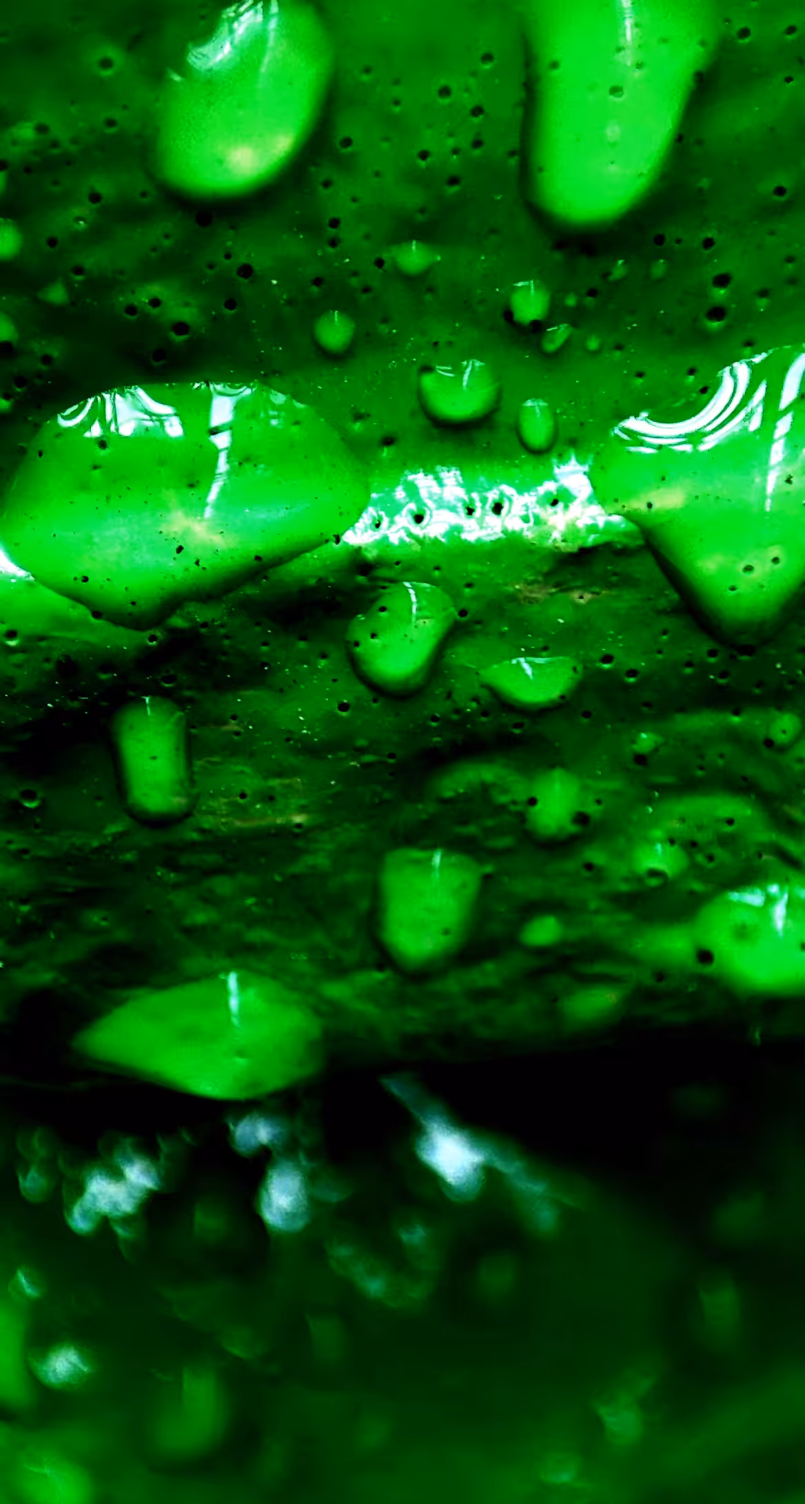ART TREASURE FOR HUMANITY AND CULTURE : GREEN BUBBLES 