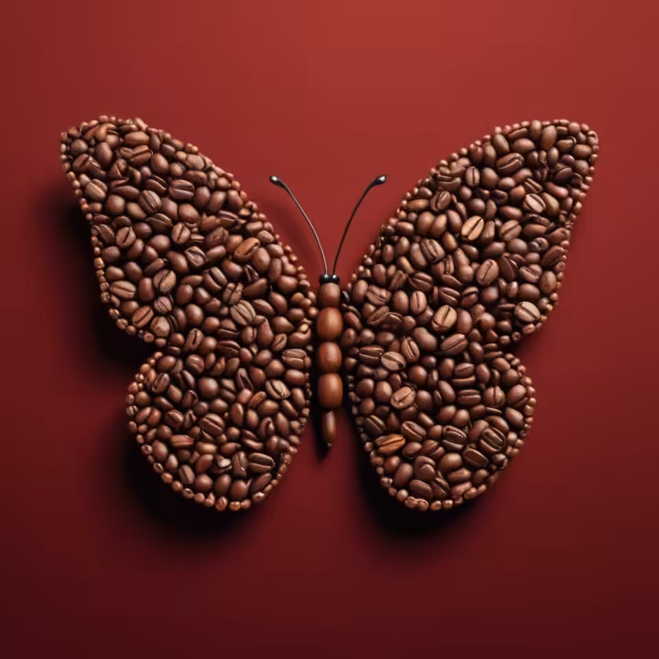 Coffee Butterfly 001
