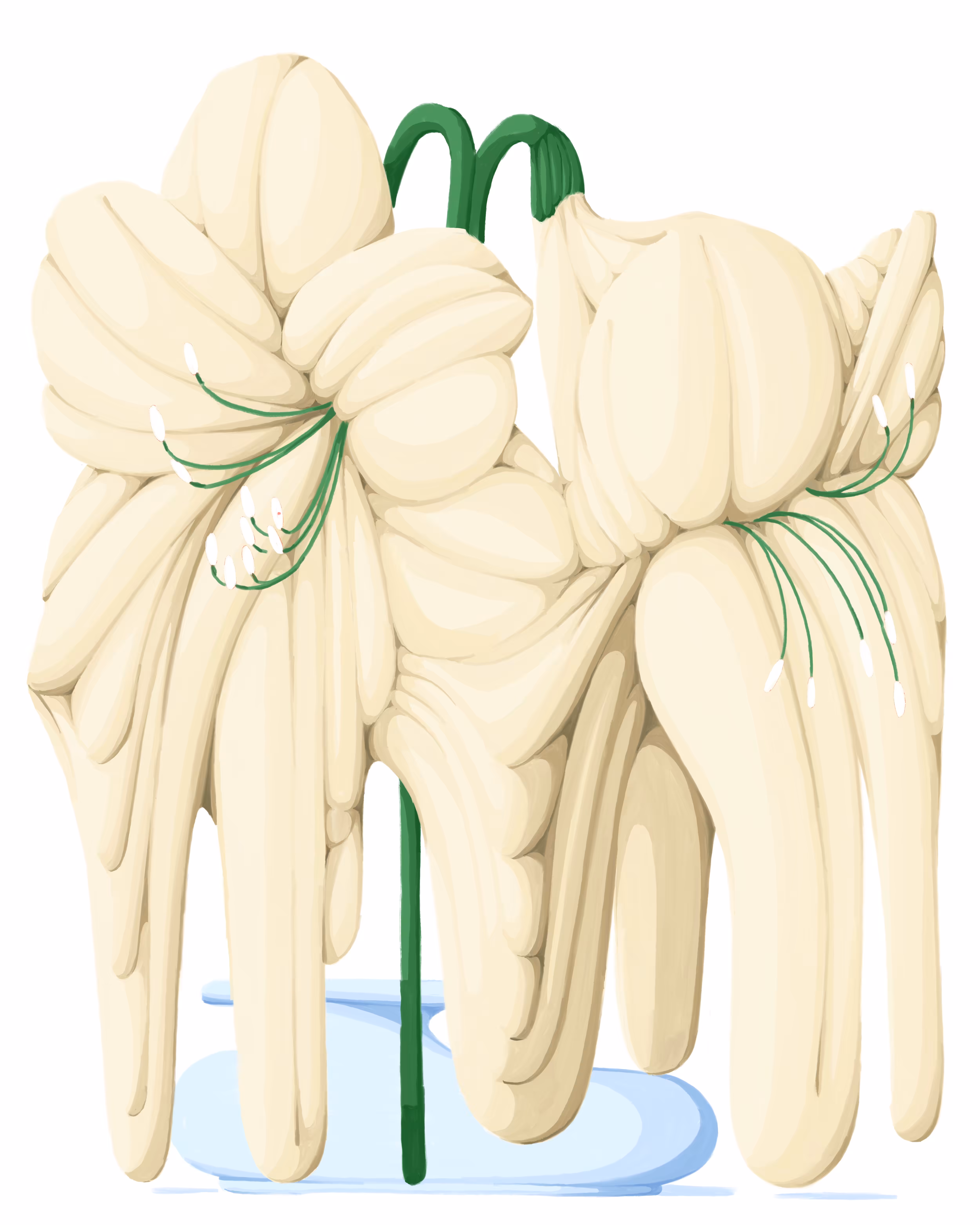 Melting Flowers: Melting Flower VI