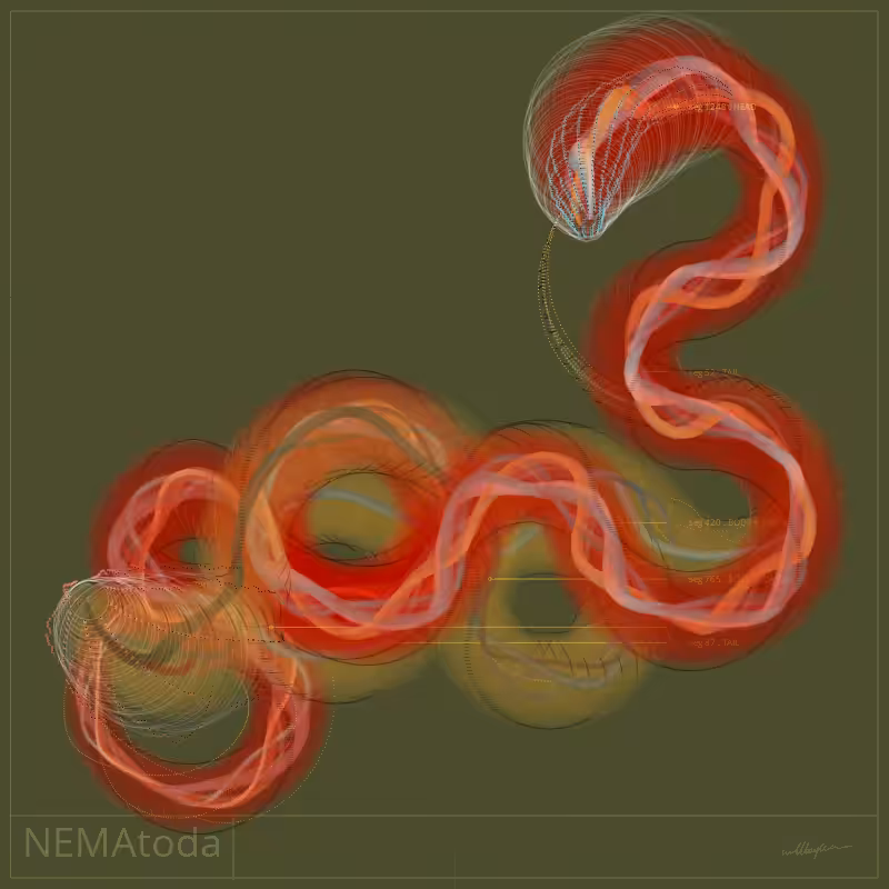 NEMA #97