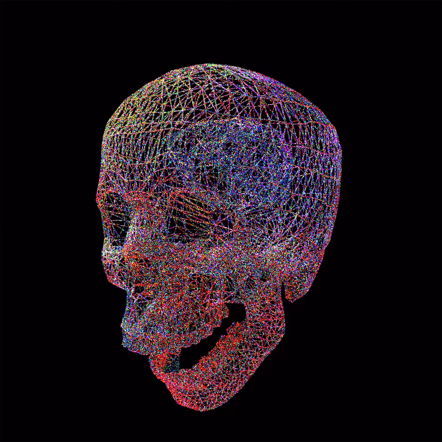 404SKULLS - 061