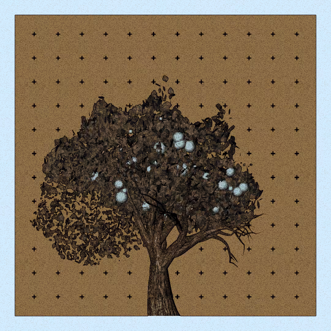 _argania[primaria] #279
