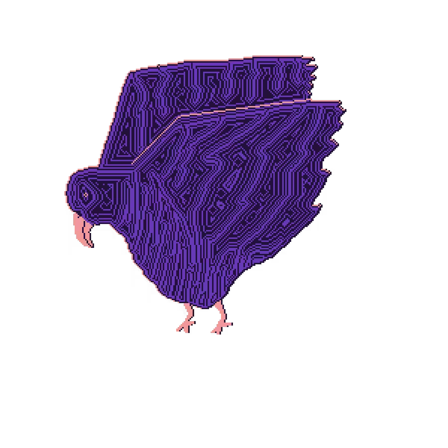 bird #9