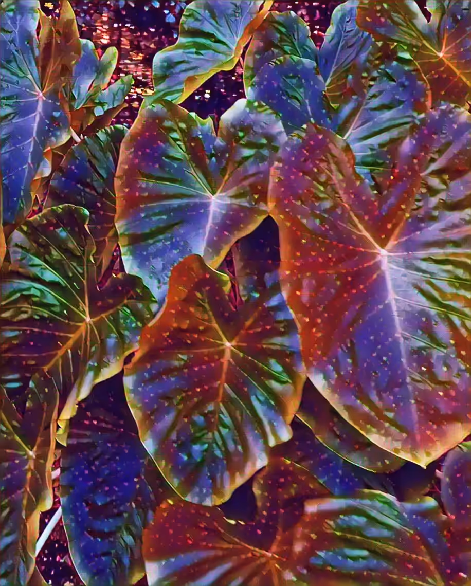 Leafy
