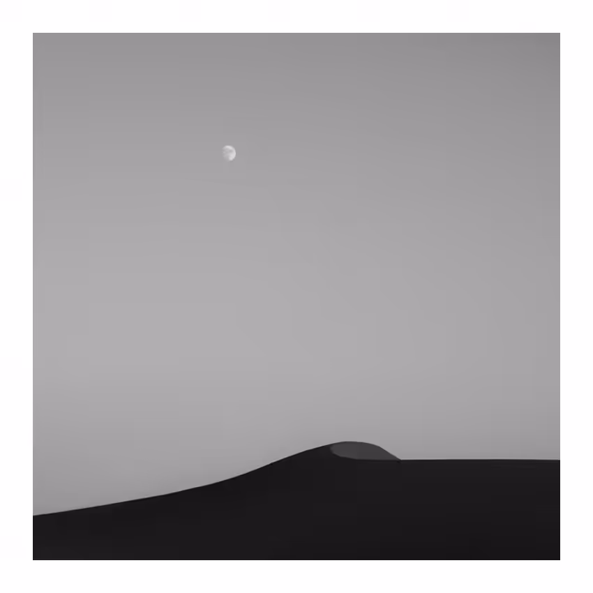 alone desert 