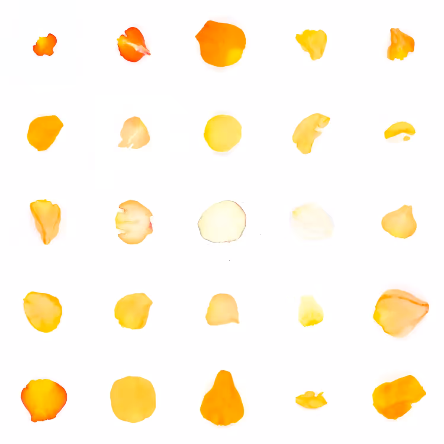 Infinite Petals 5x5#21551