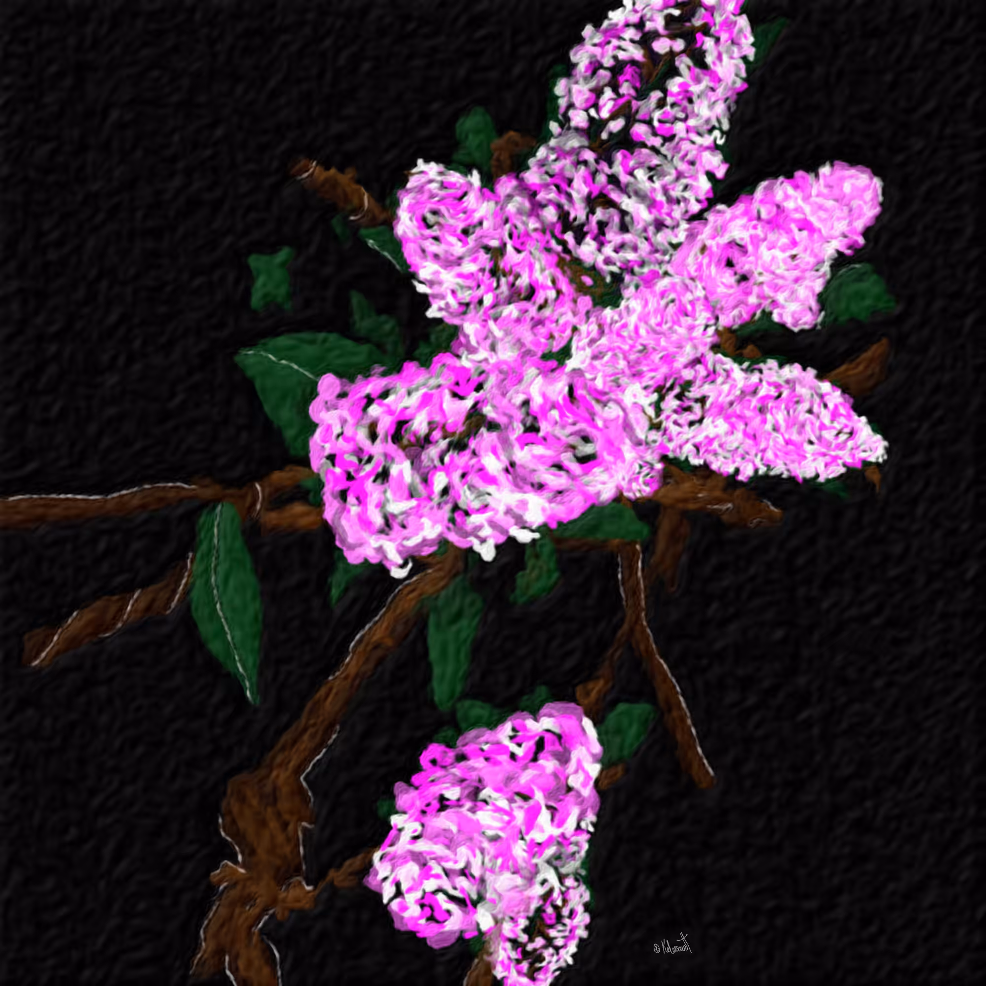 Lilac