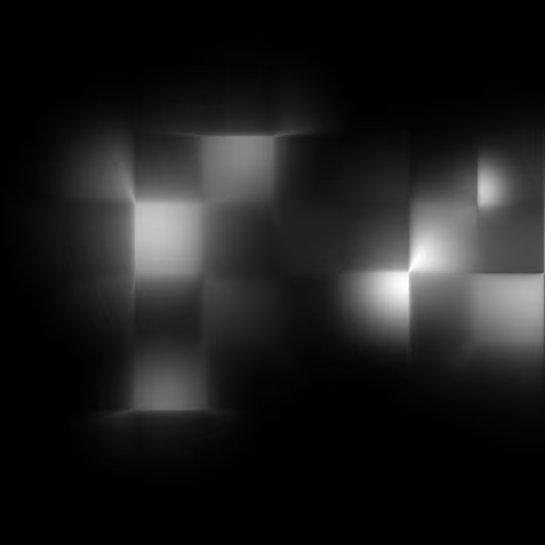 L I G H T ( )