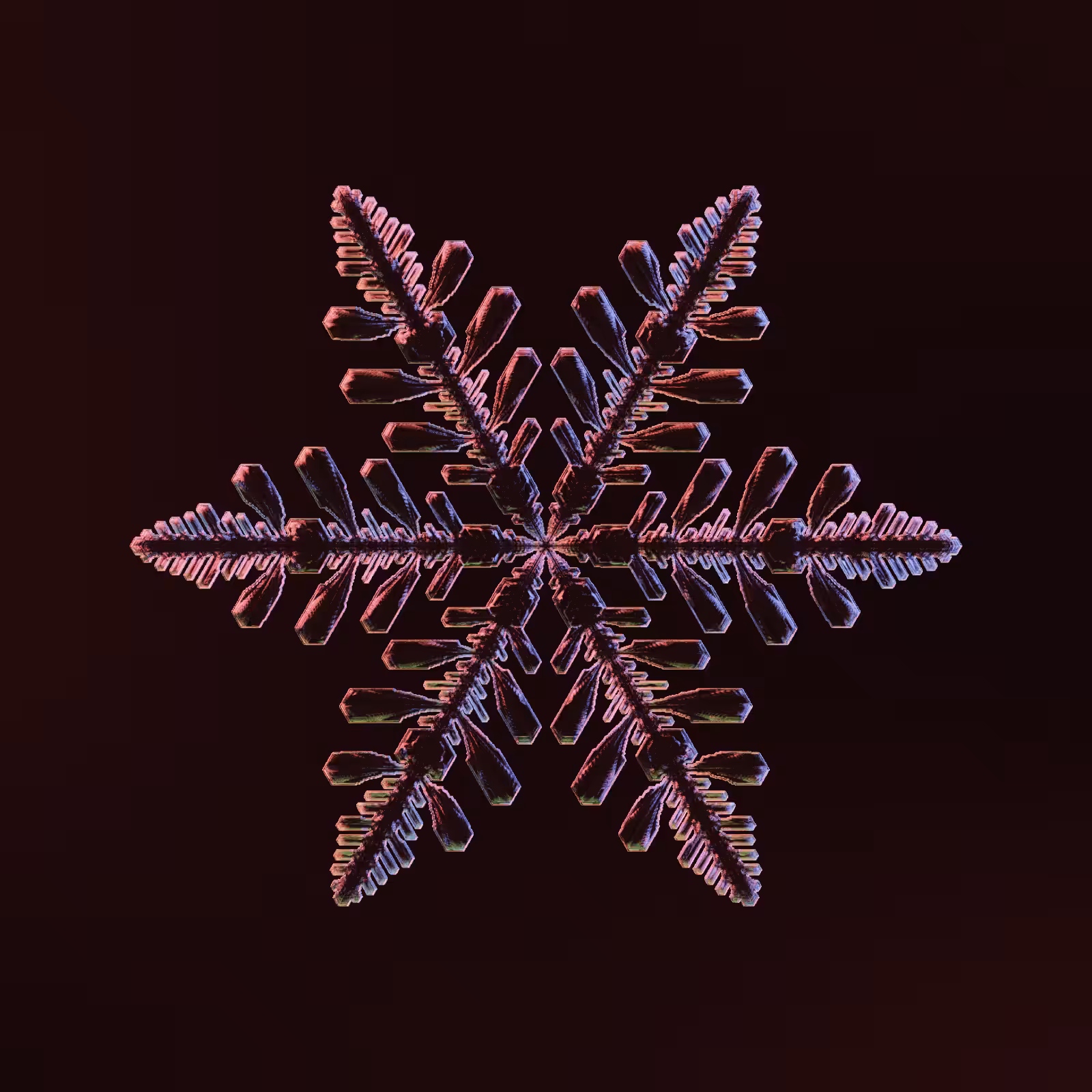Symmetry and Intricacy #36