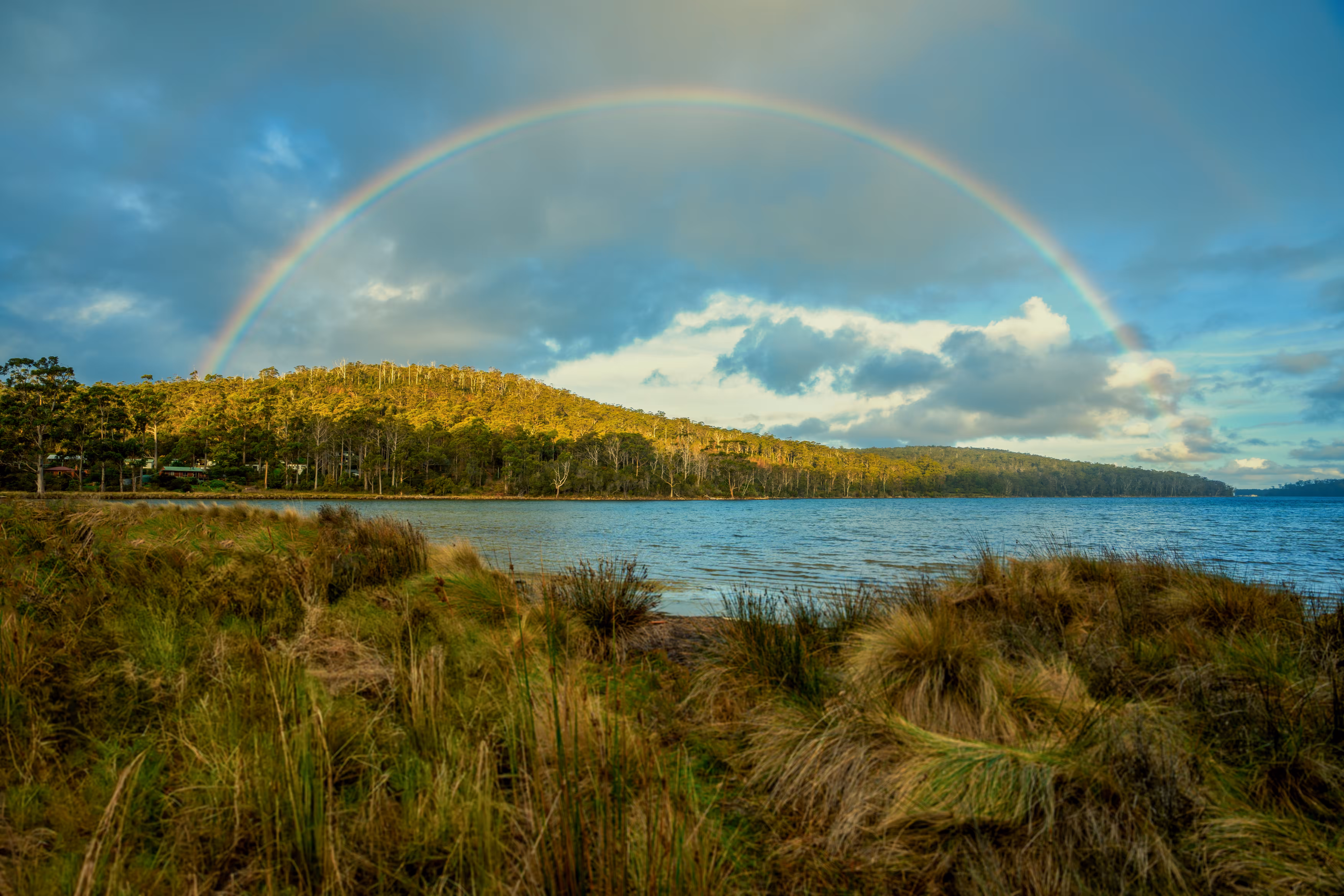 After the Storm