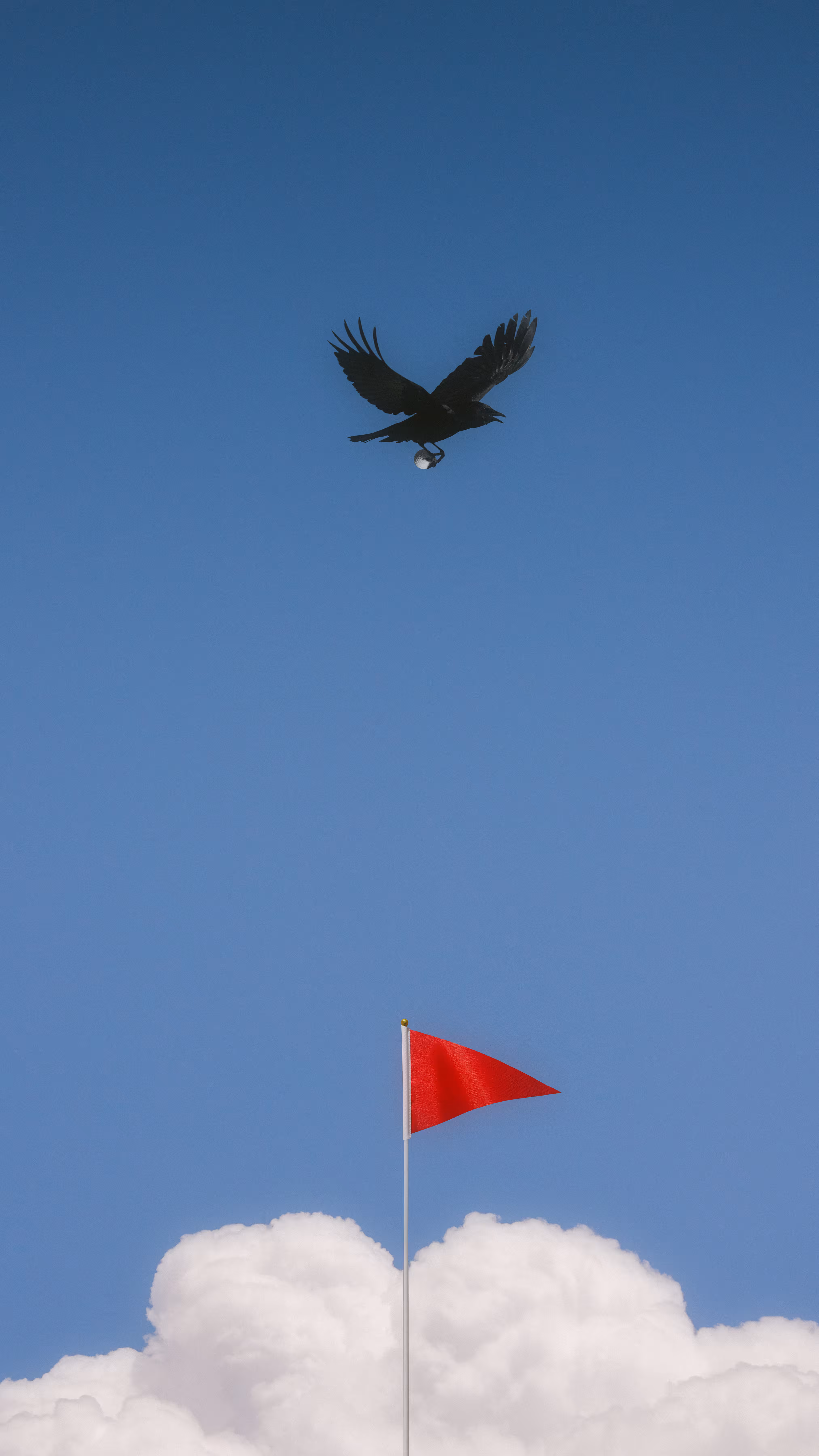 Birdie!