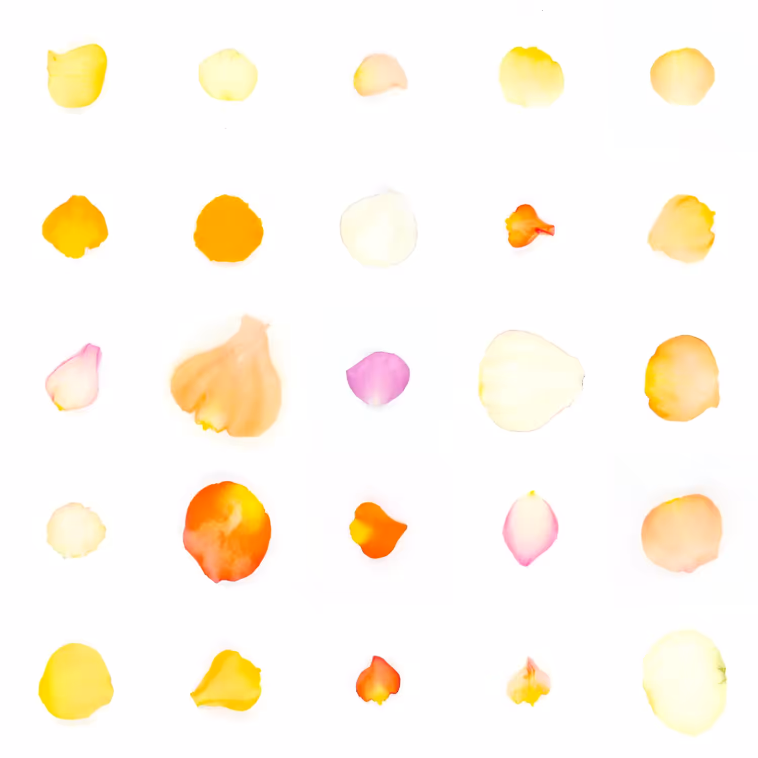 Infinite Petals 5x5#2798