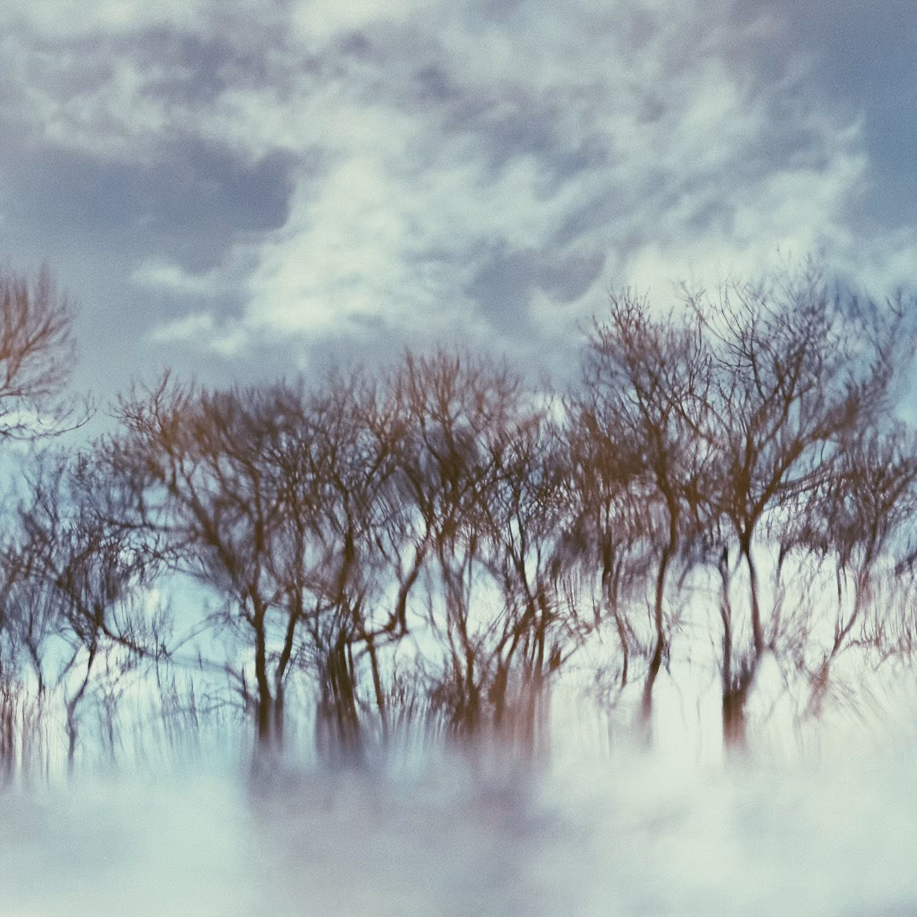 Trees