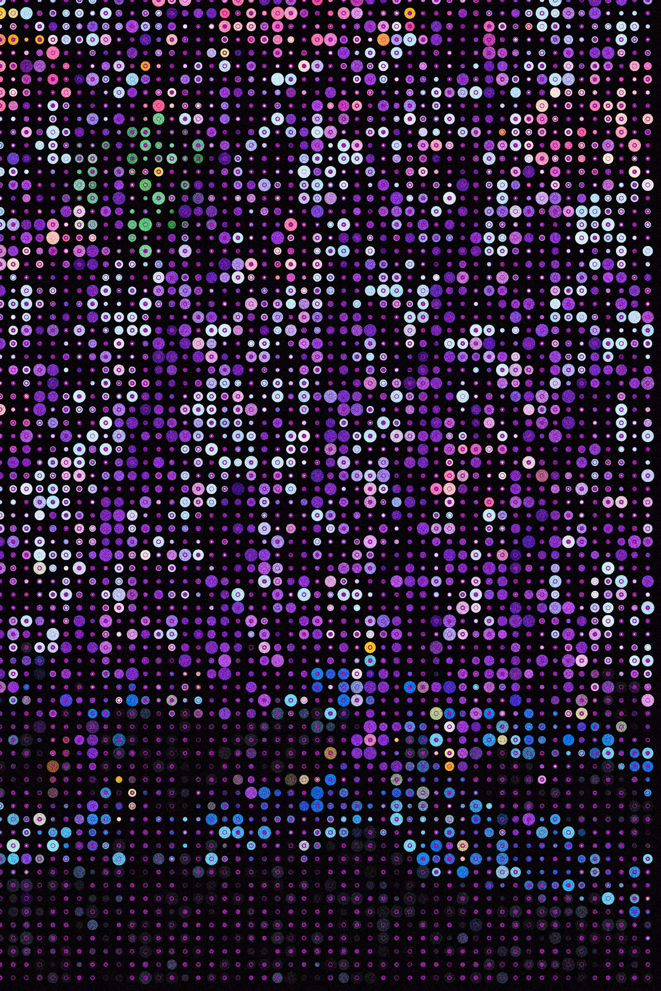 Java No.1