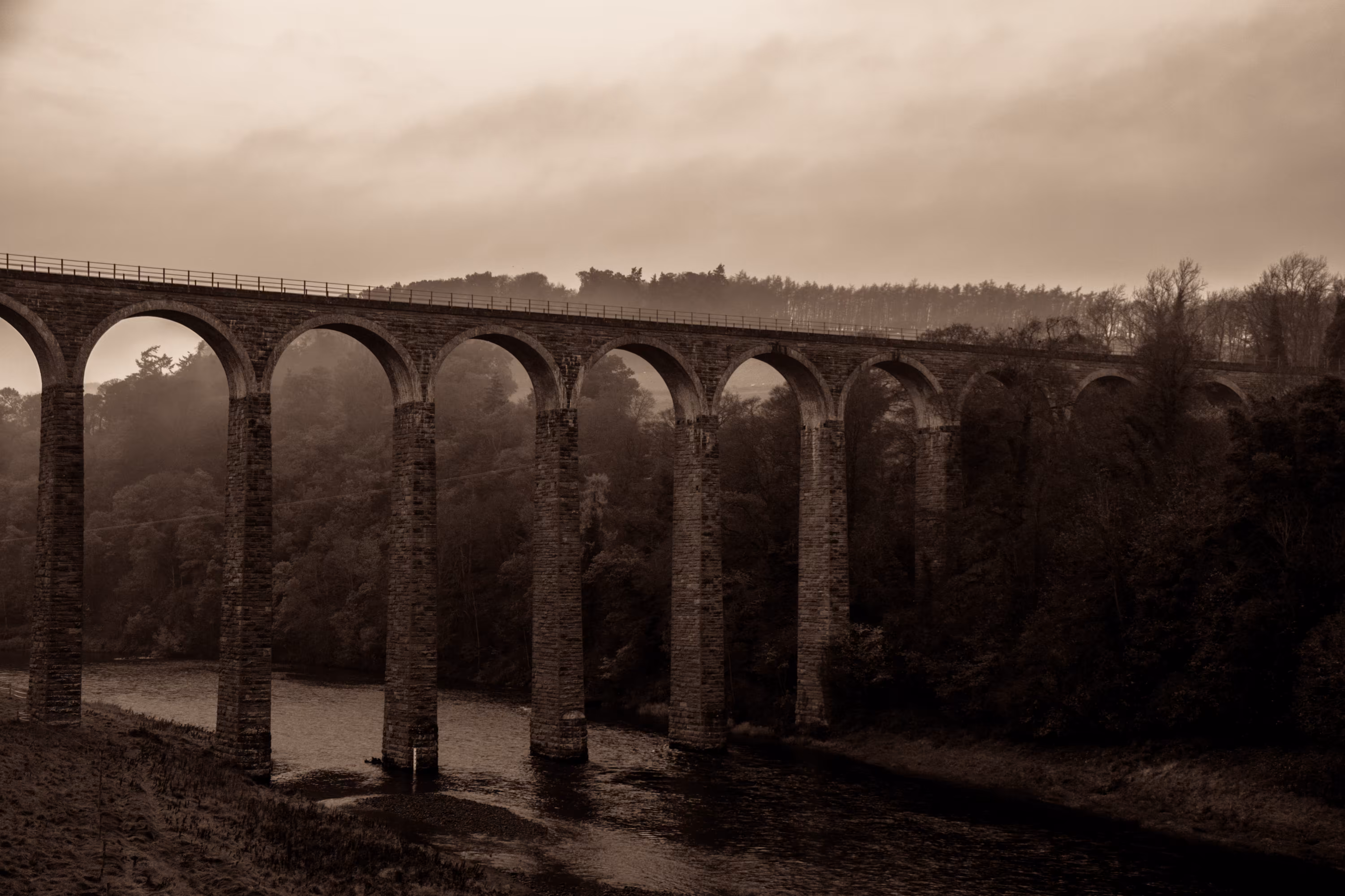 Building Bridges
