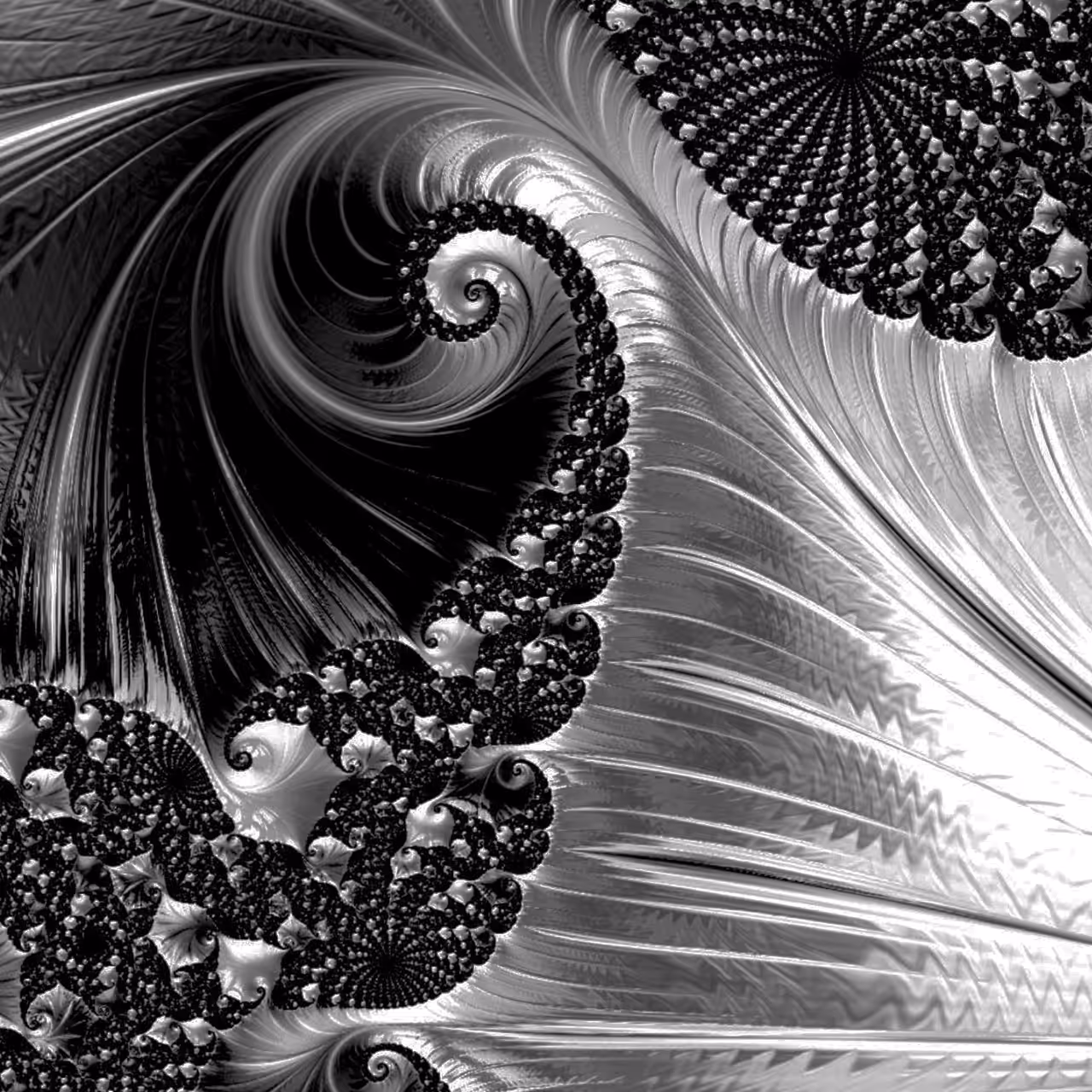 New Fractal