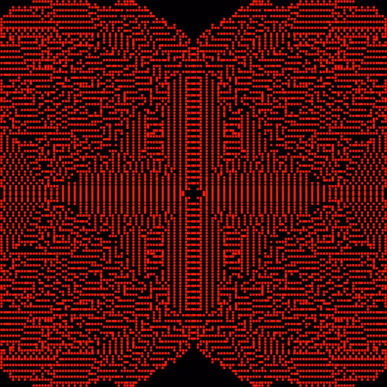 Cellular Canvas #493