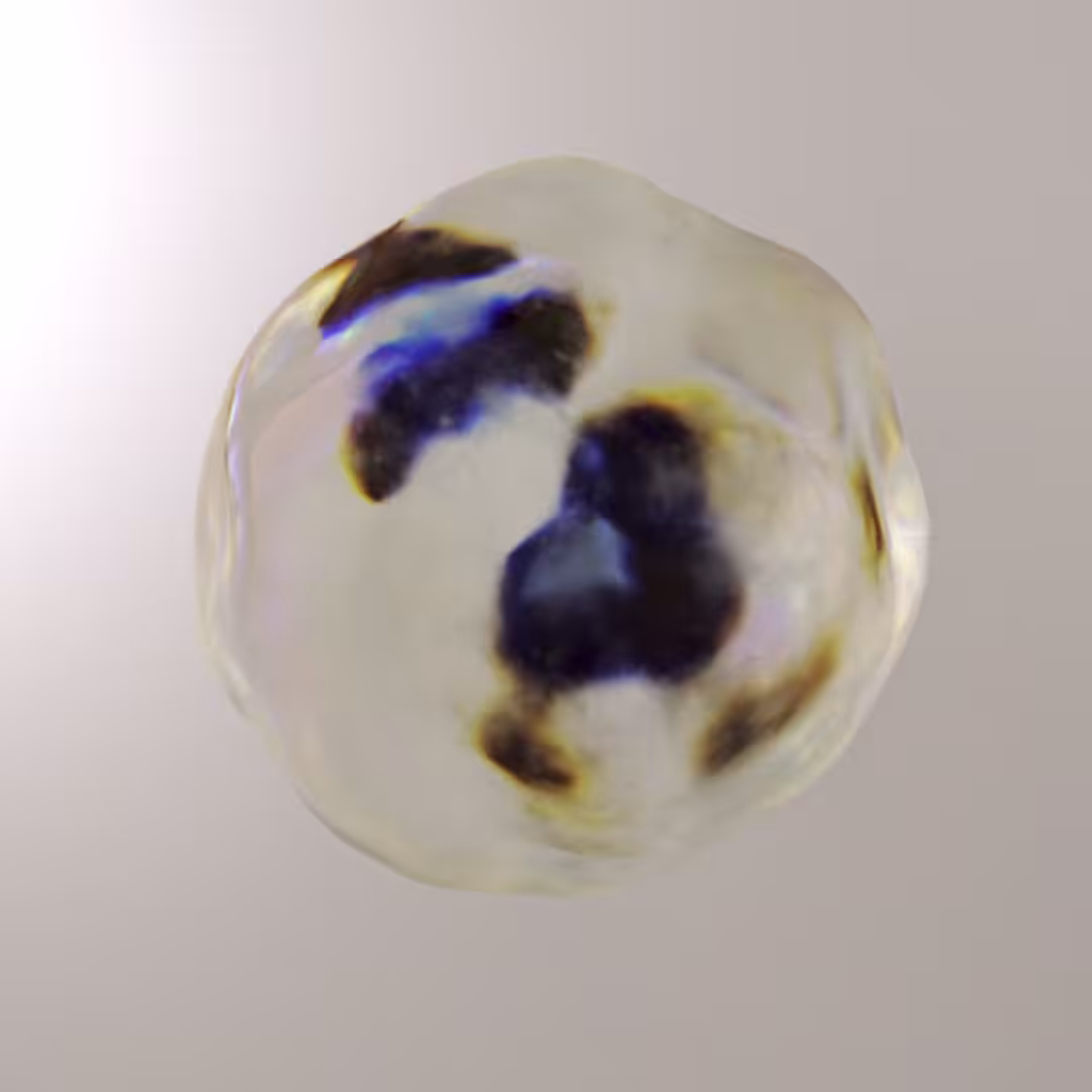 dispersion_series: dispersion_001