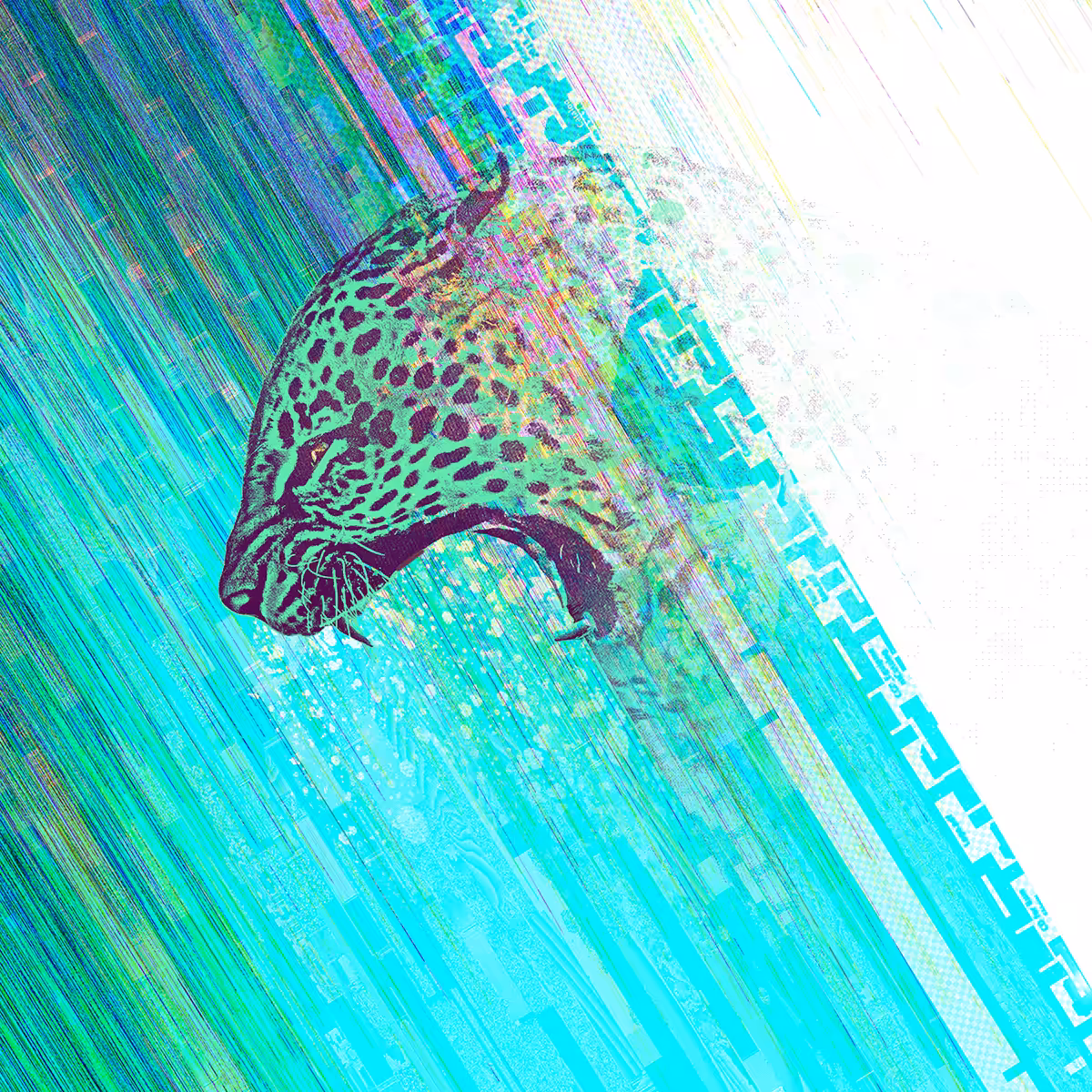 How the leopard got it's spots