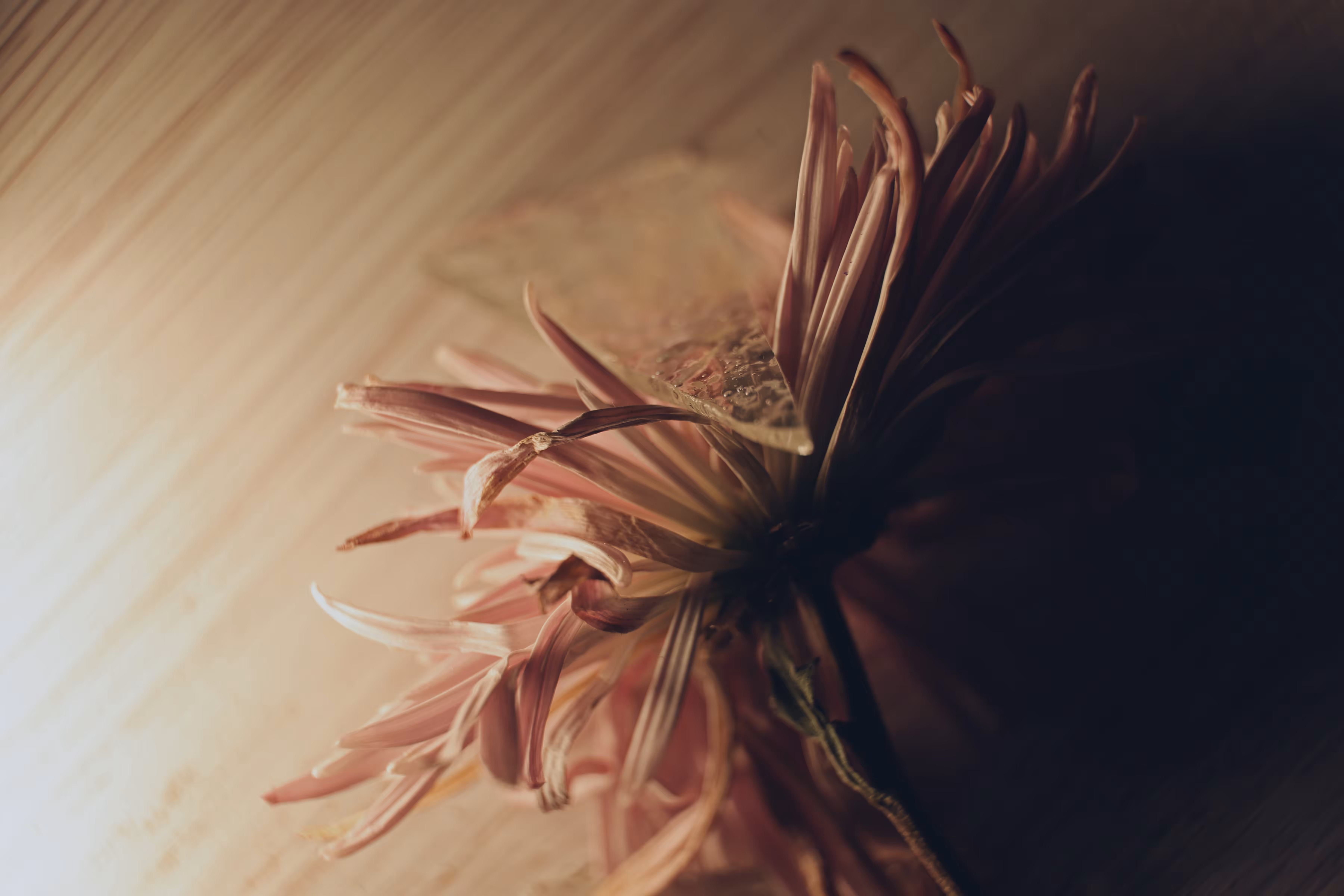_days feel heavy
