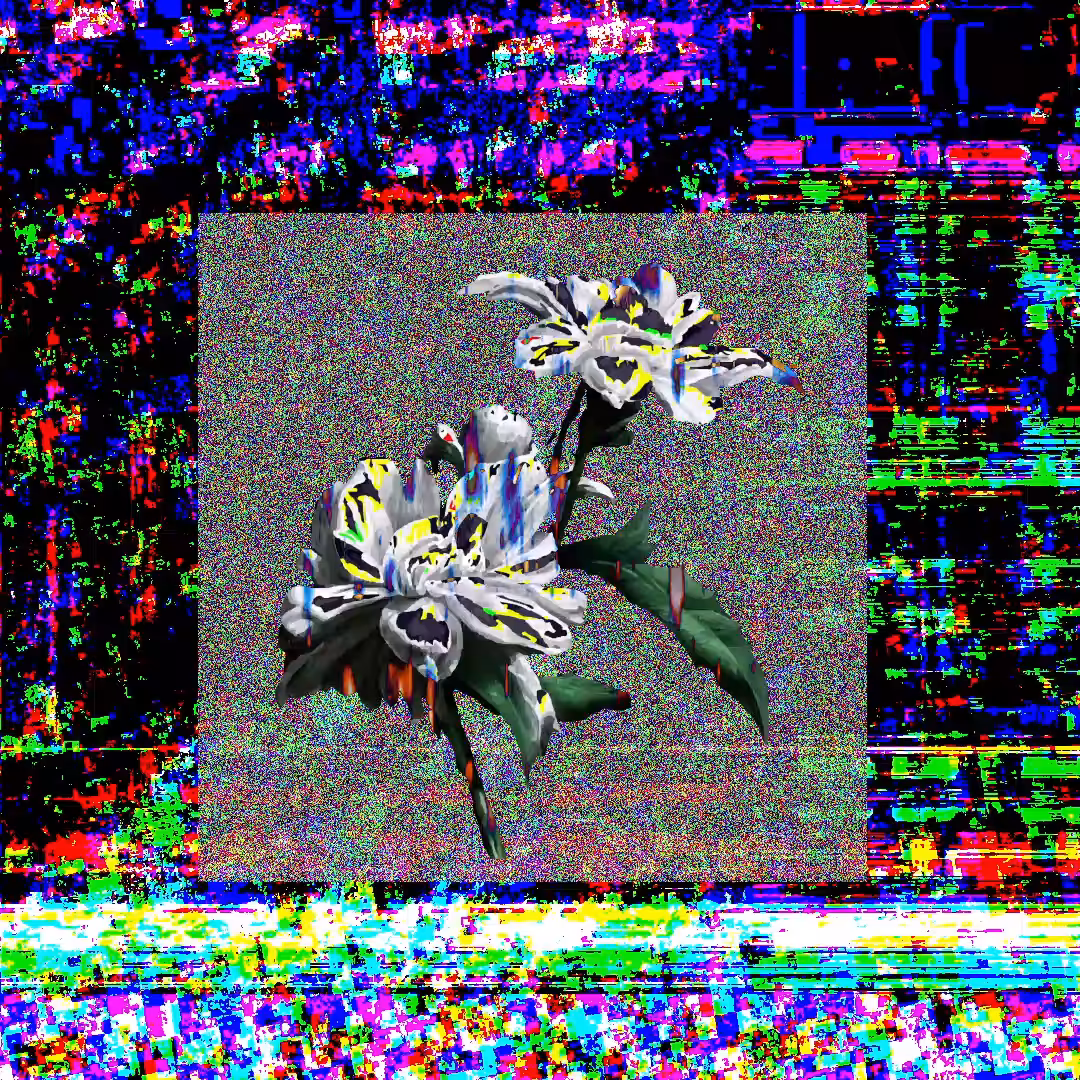 My flower is lonely
