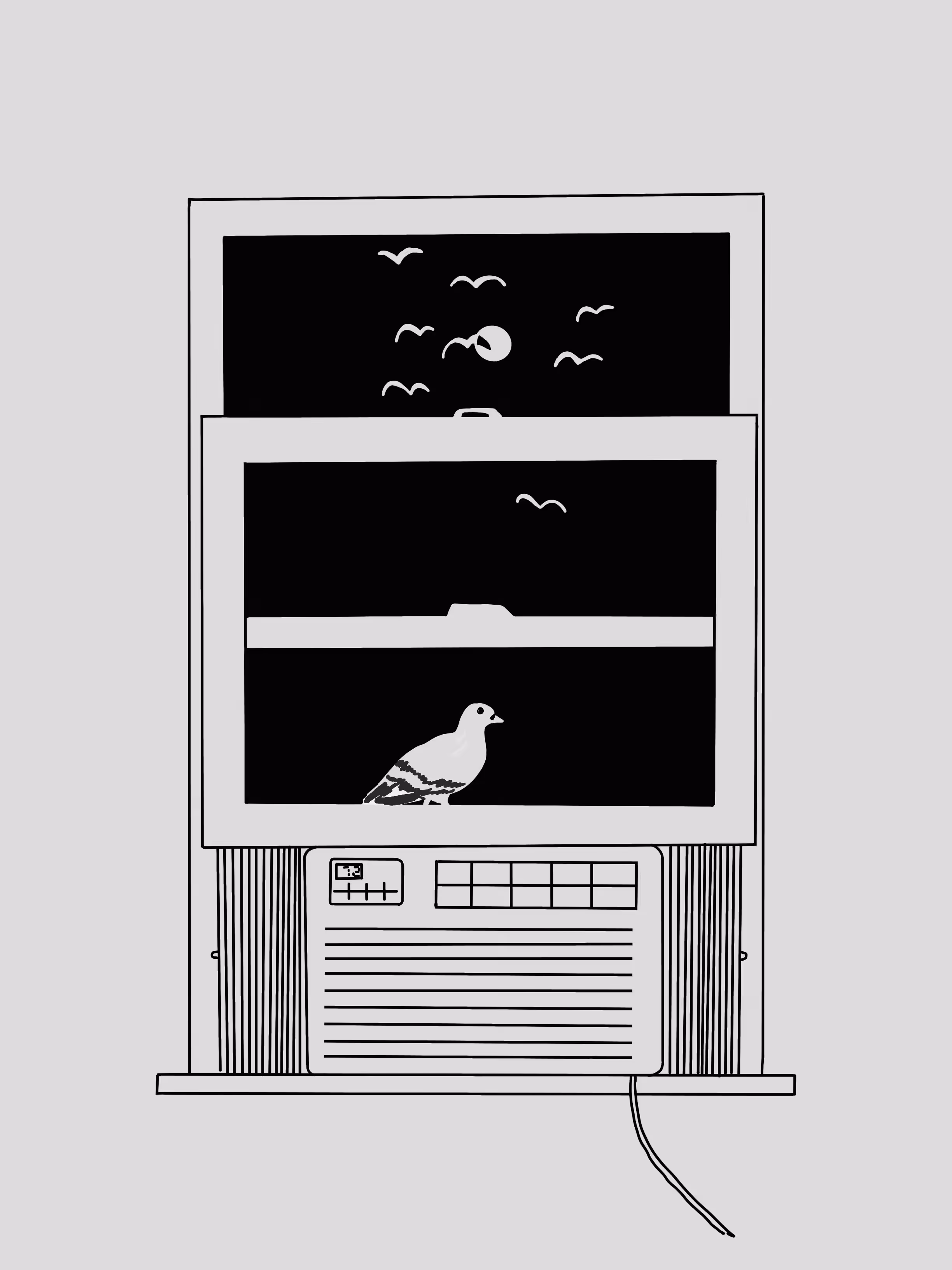 Pigeon Window