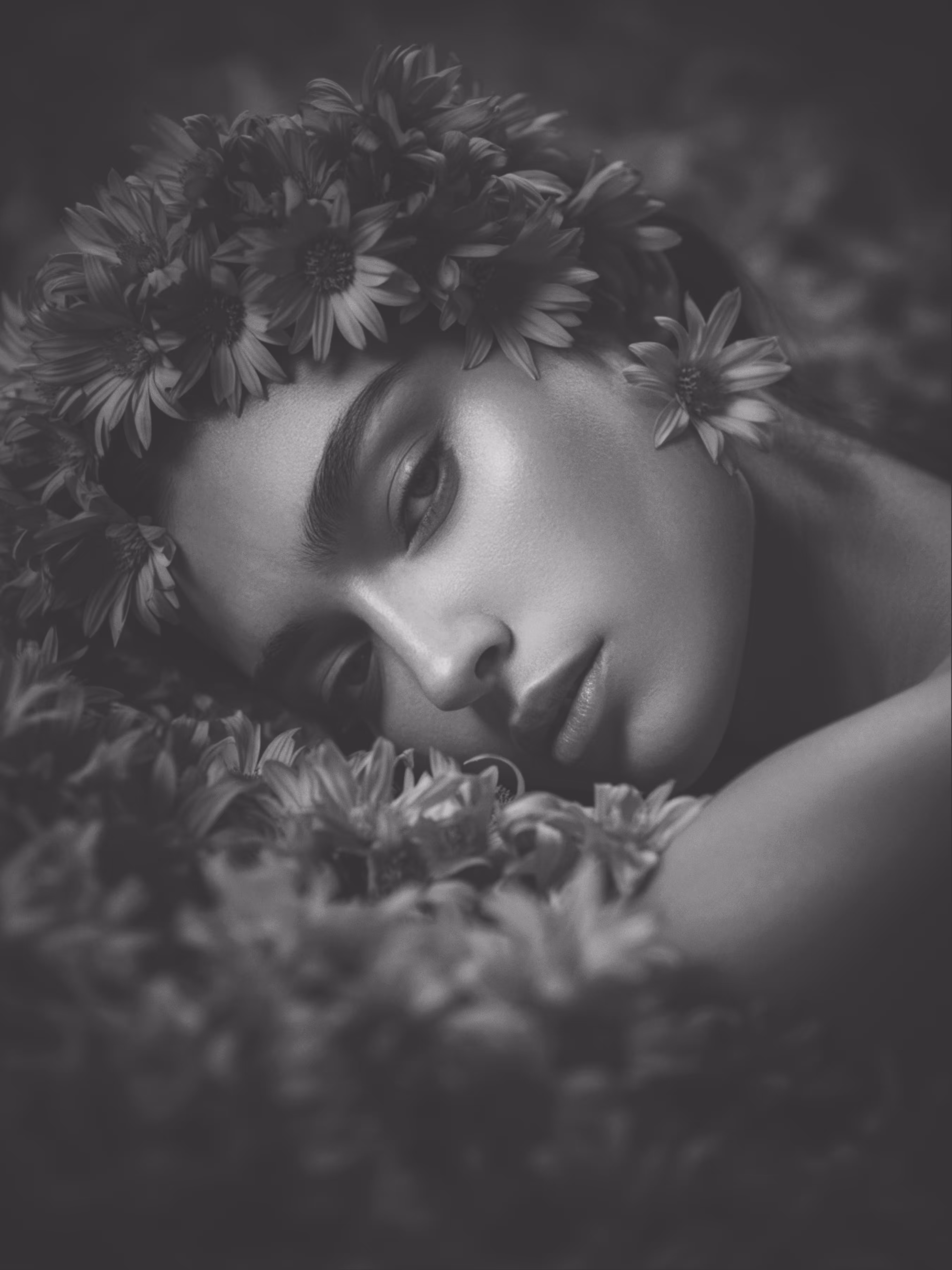 Lullaby in Bloom
