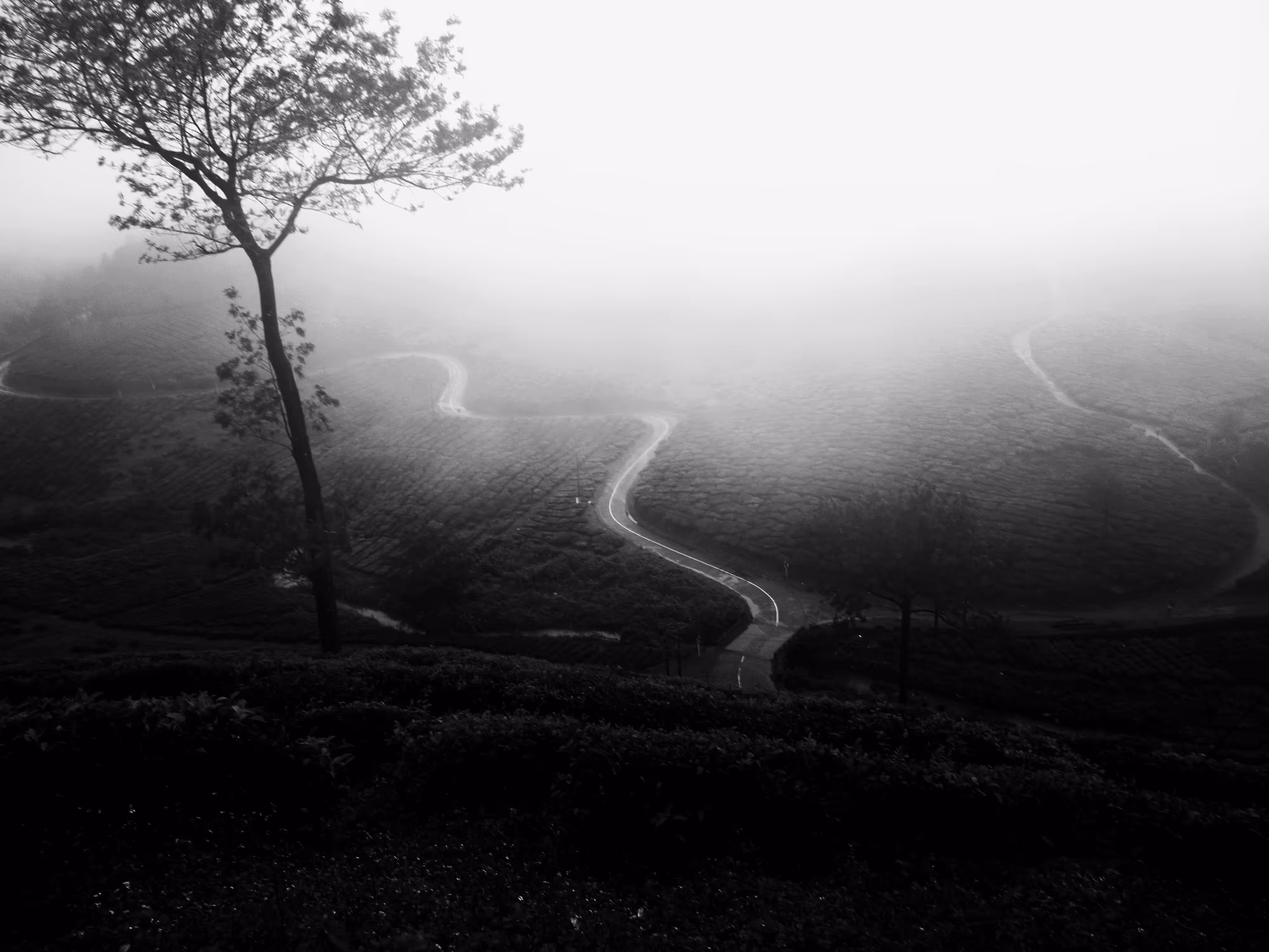 The hidden paths