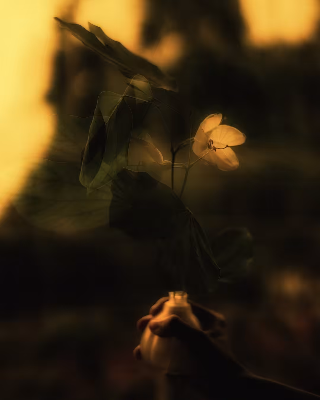 Serene