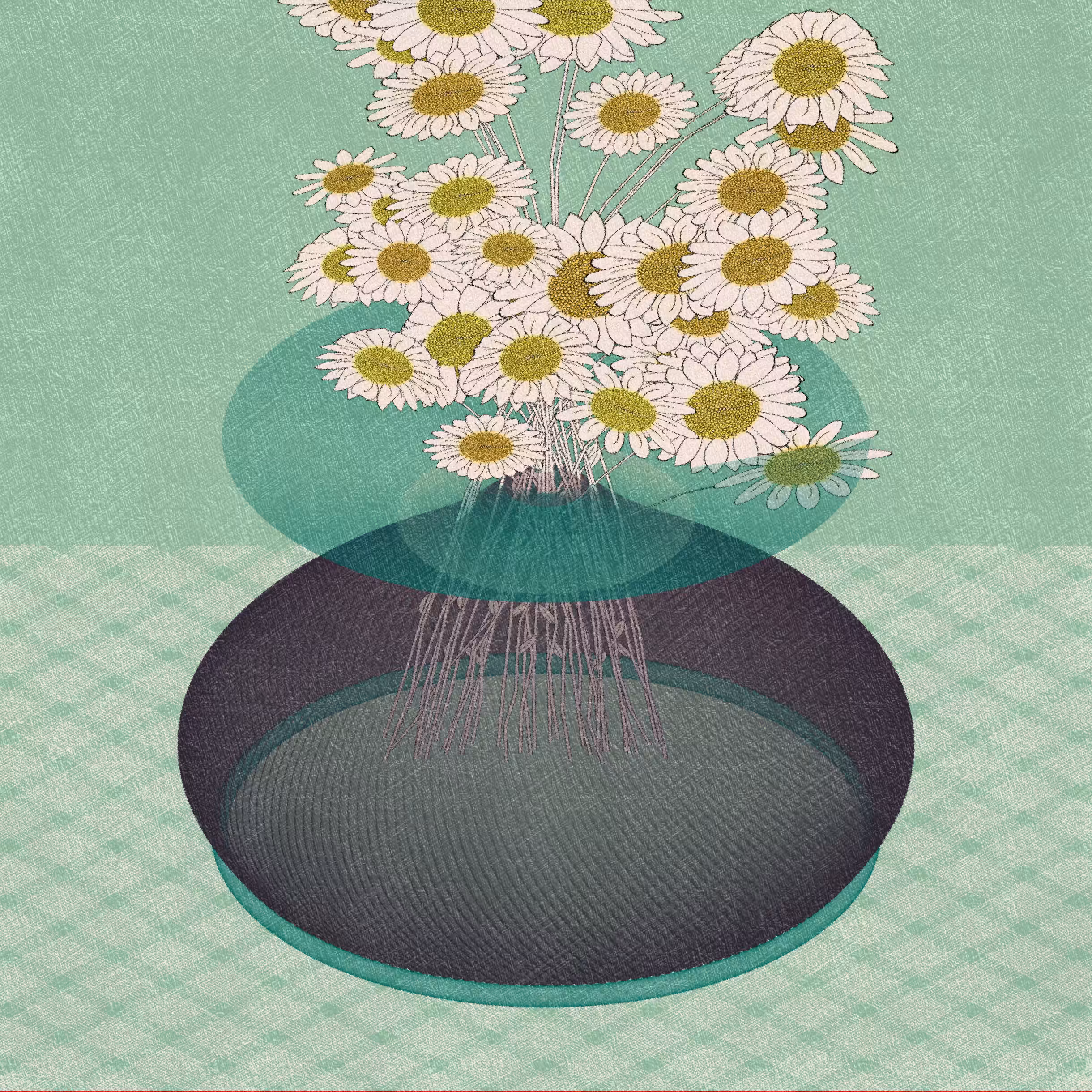 Vases and Daisies #43