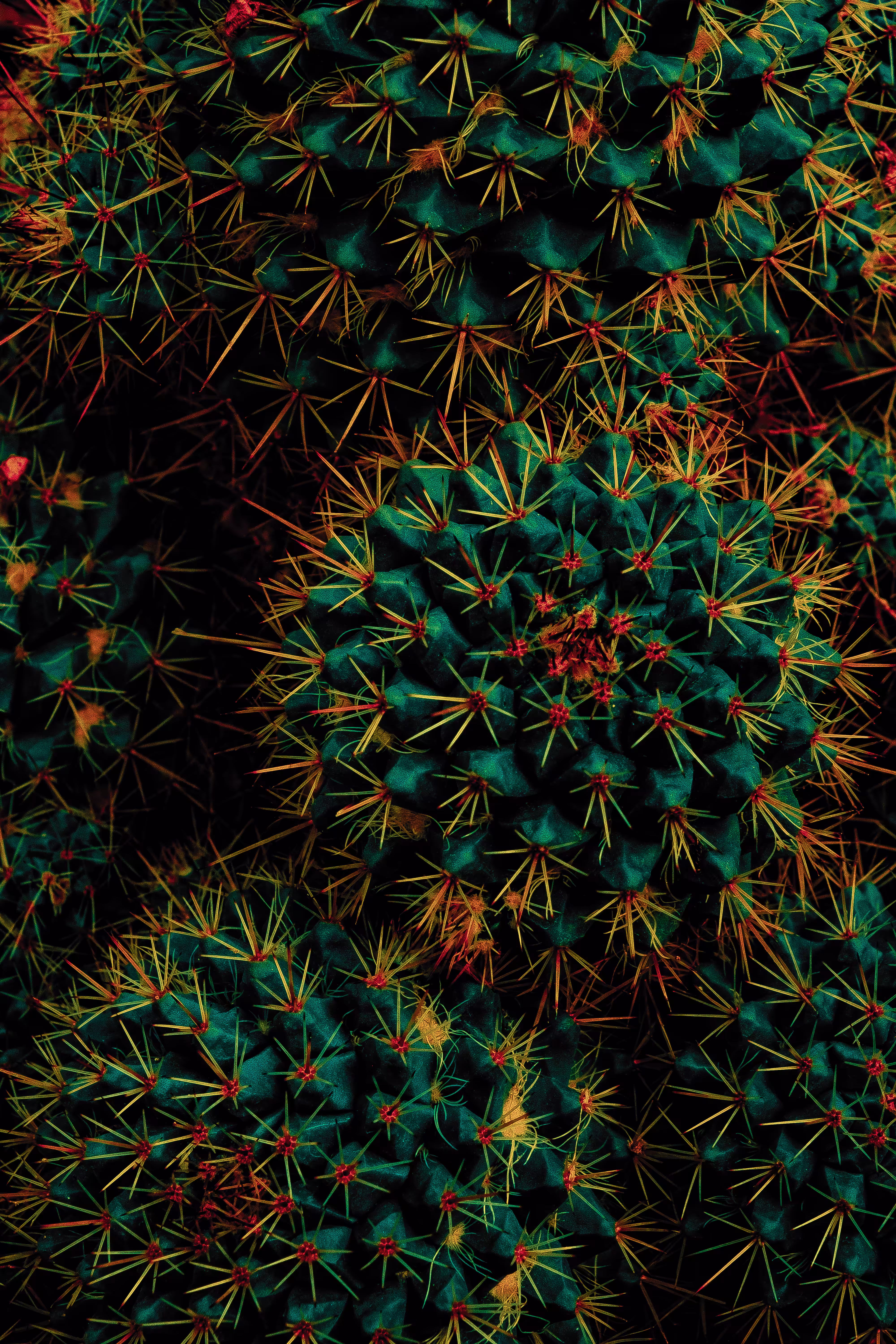 Spiky balls