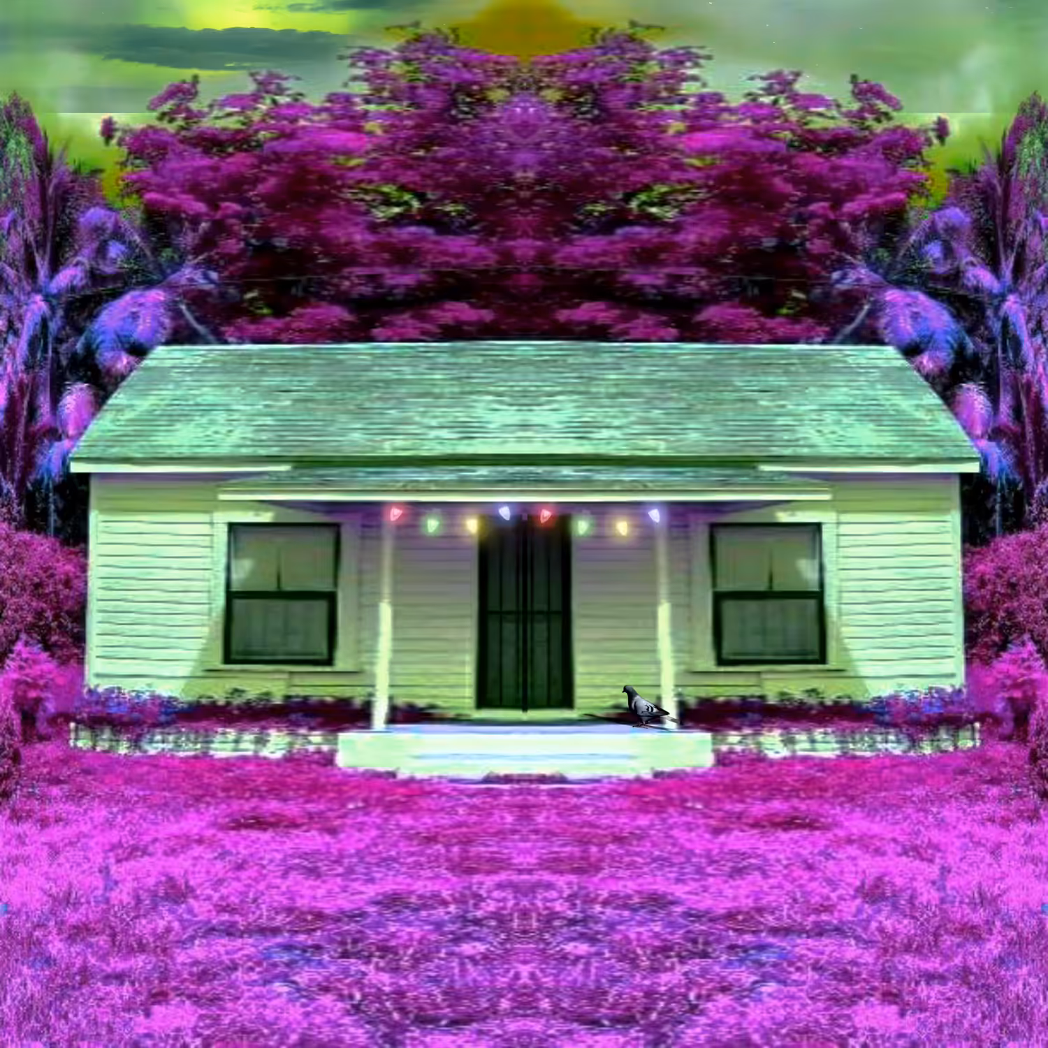 Kool-aid Gardens AirBnb