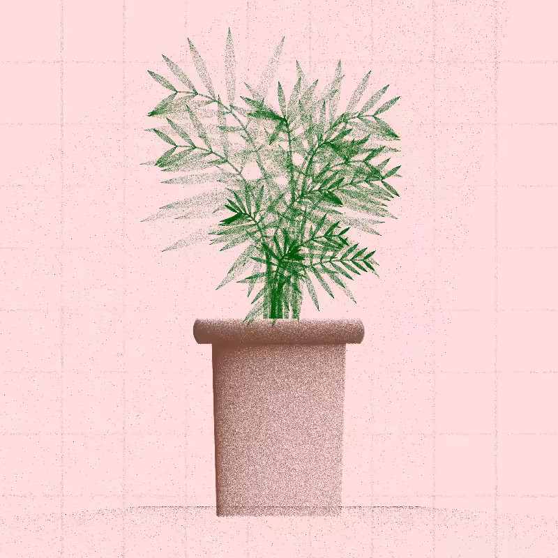 🌱 Potted & Printed #567