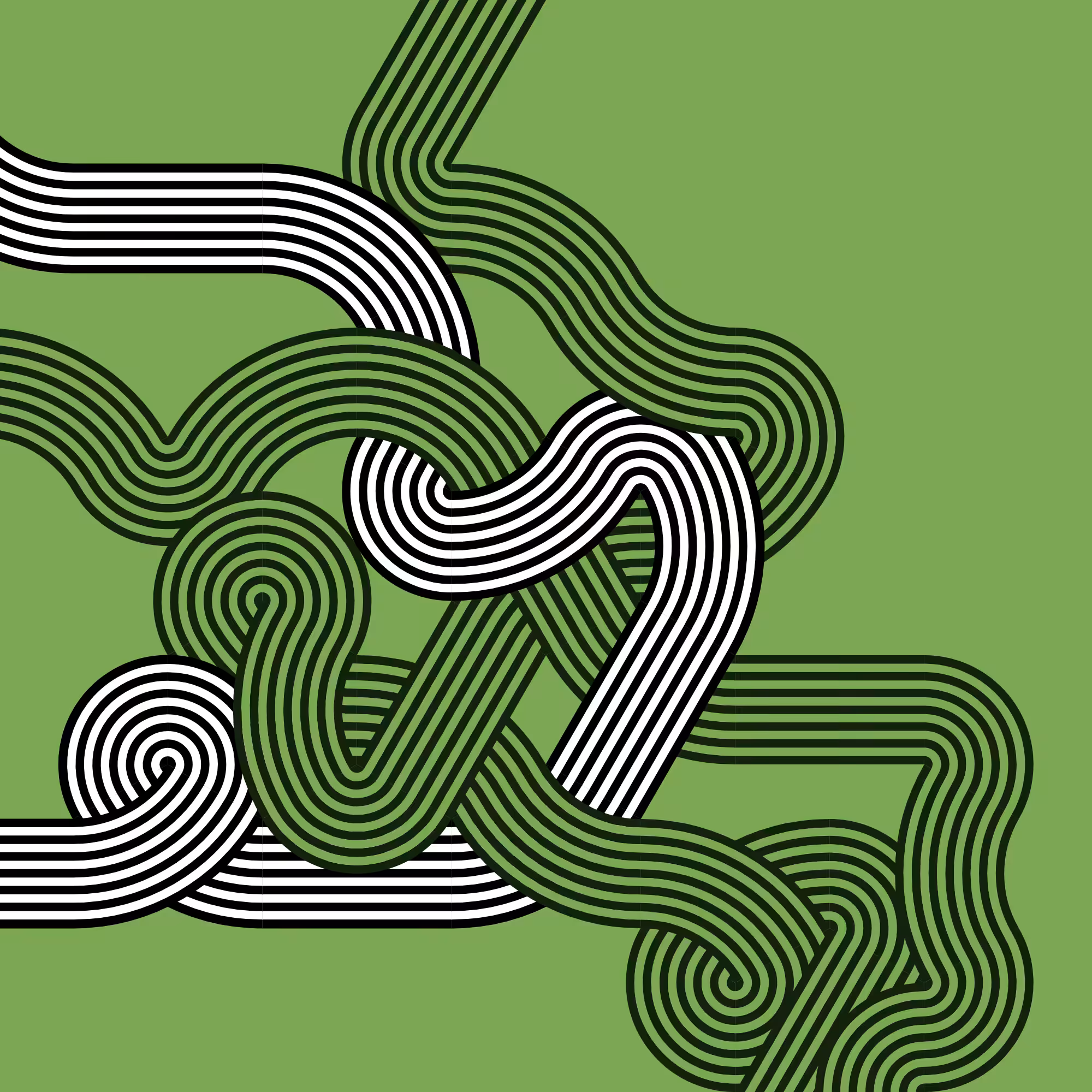 Wanderer #326