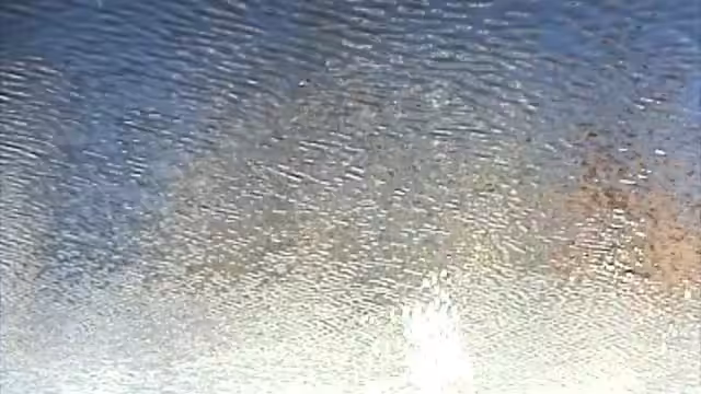 Gand dans l'eau
