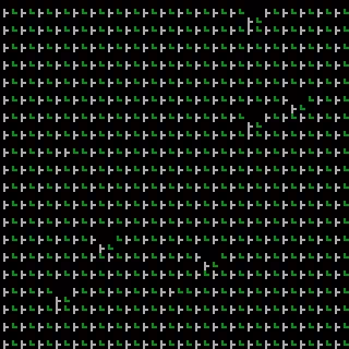 CGA Safari #200