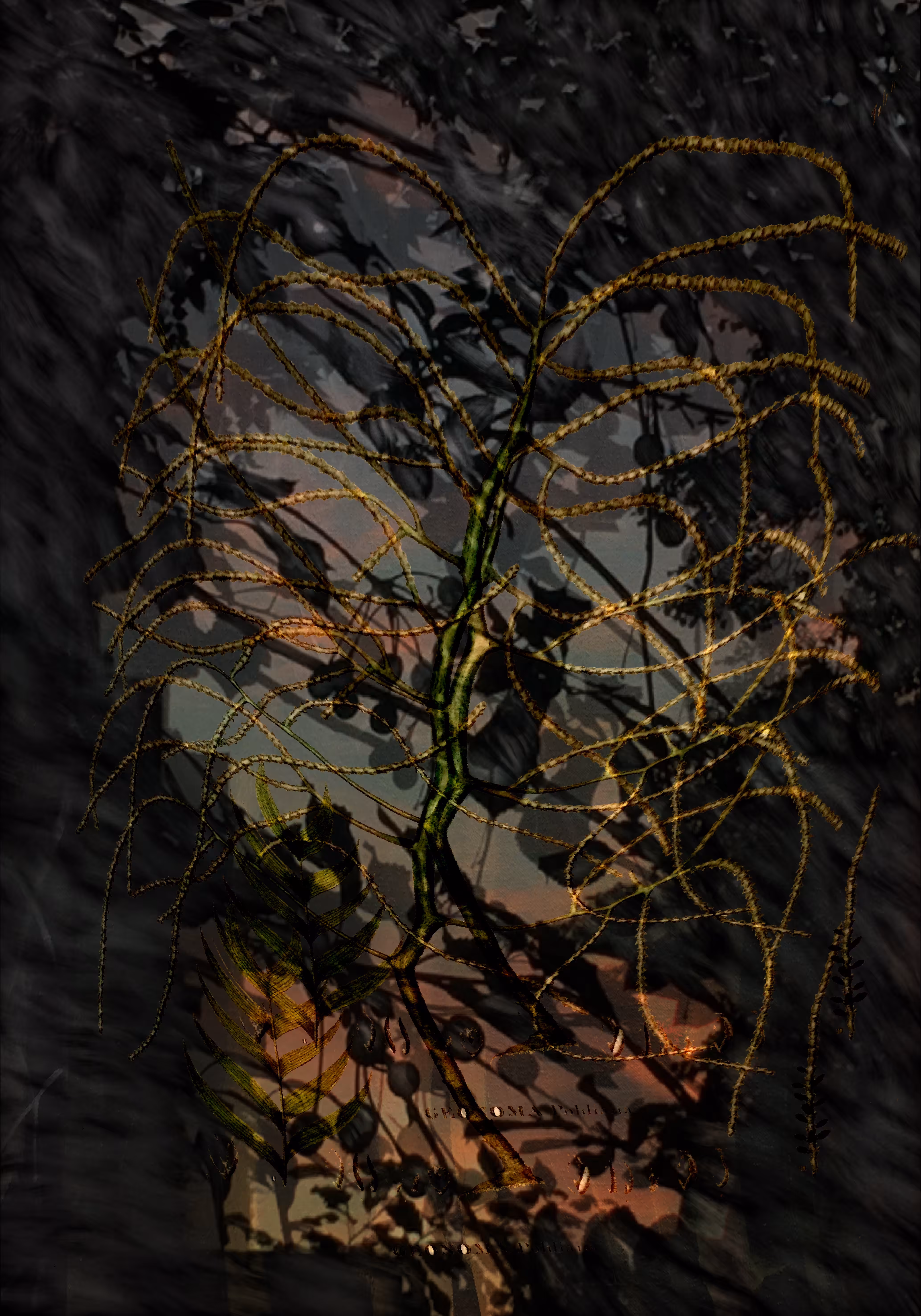 Digipoetic species #4