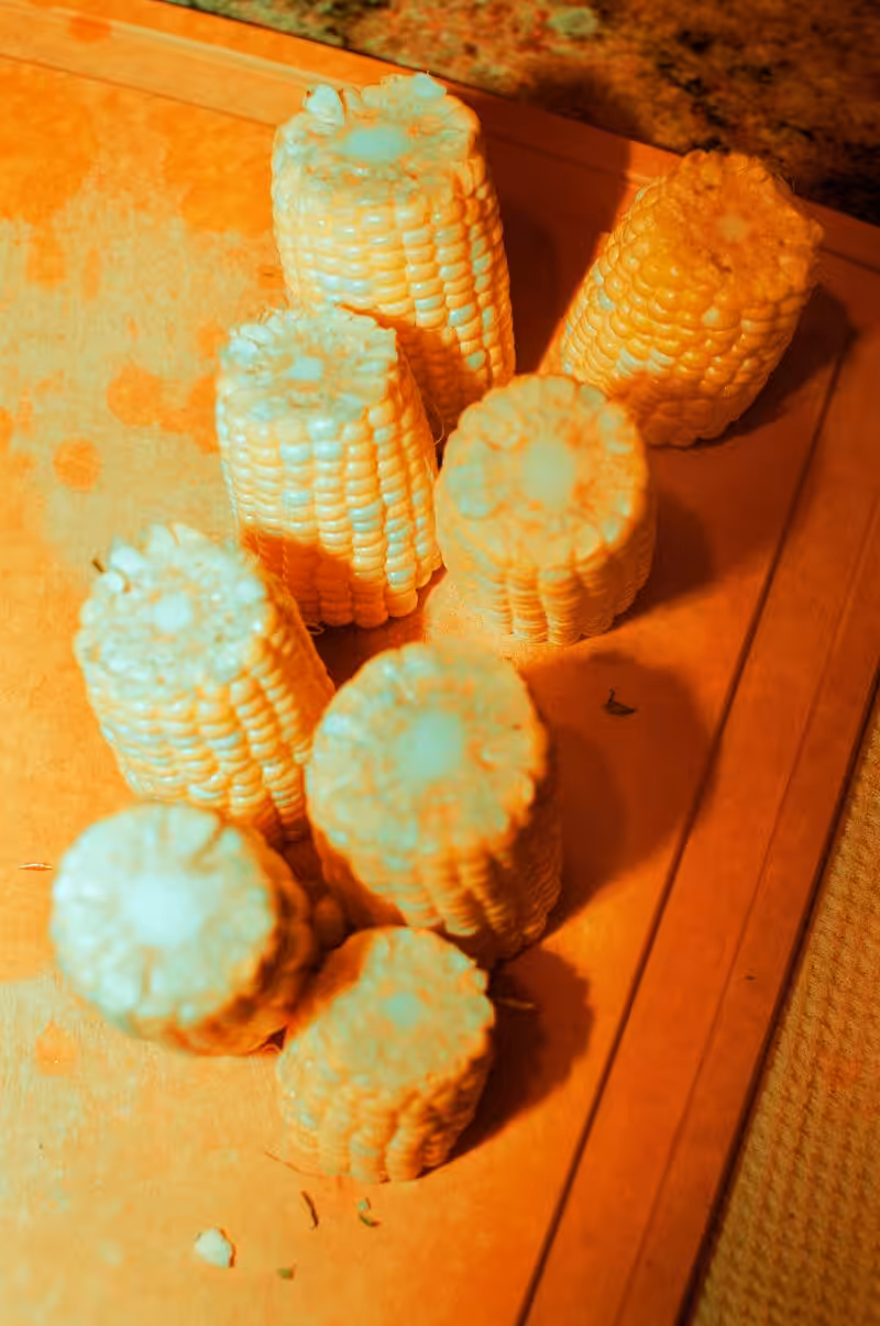 The Photo Collection: corn