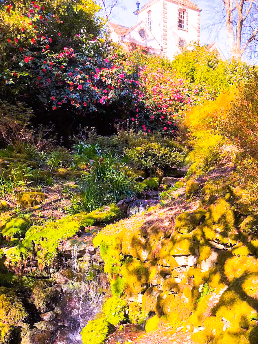 Colour Stream