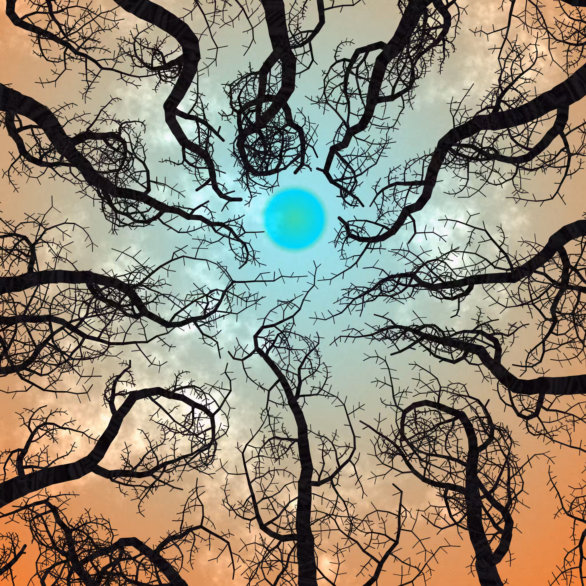 Tree Skyness #171