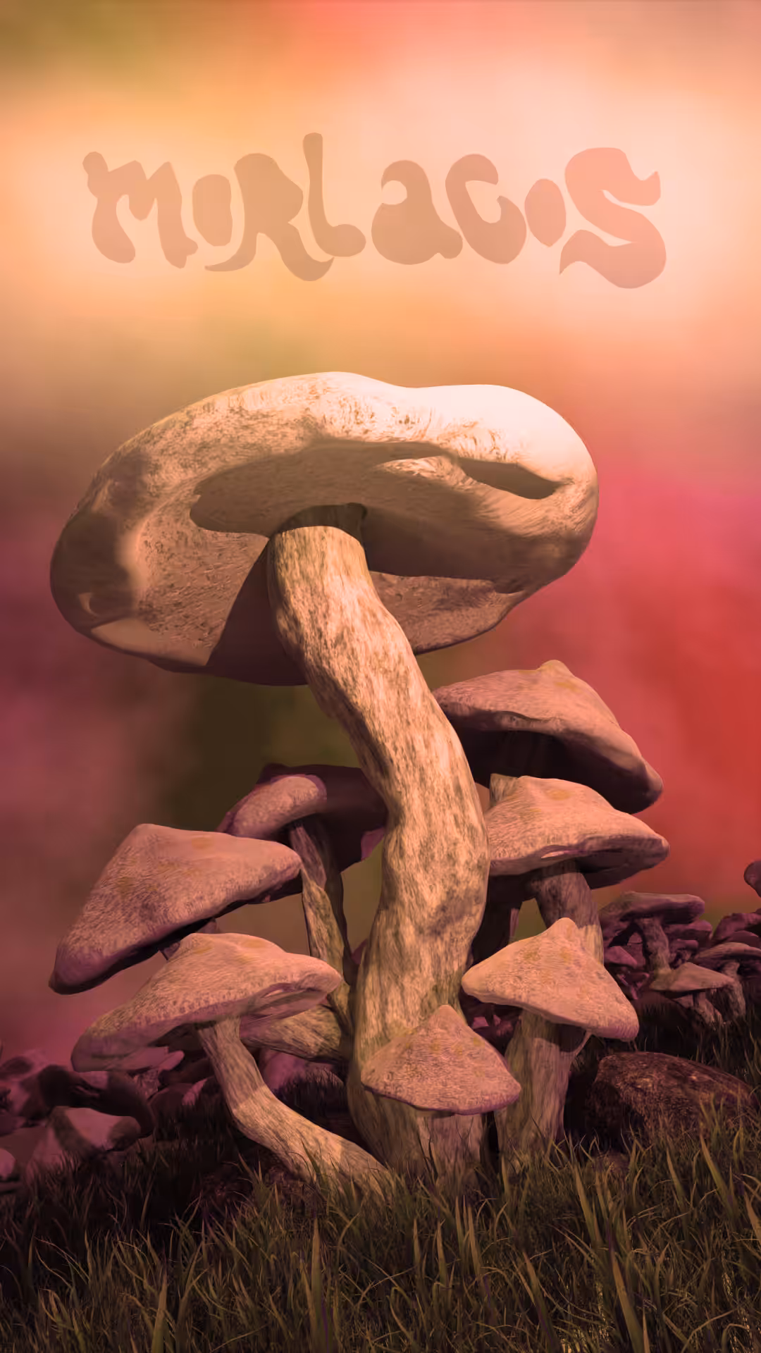 THE FUNGI LANDS