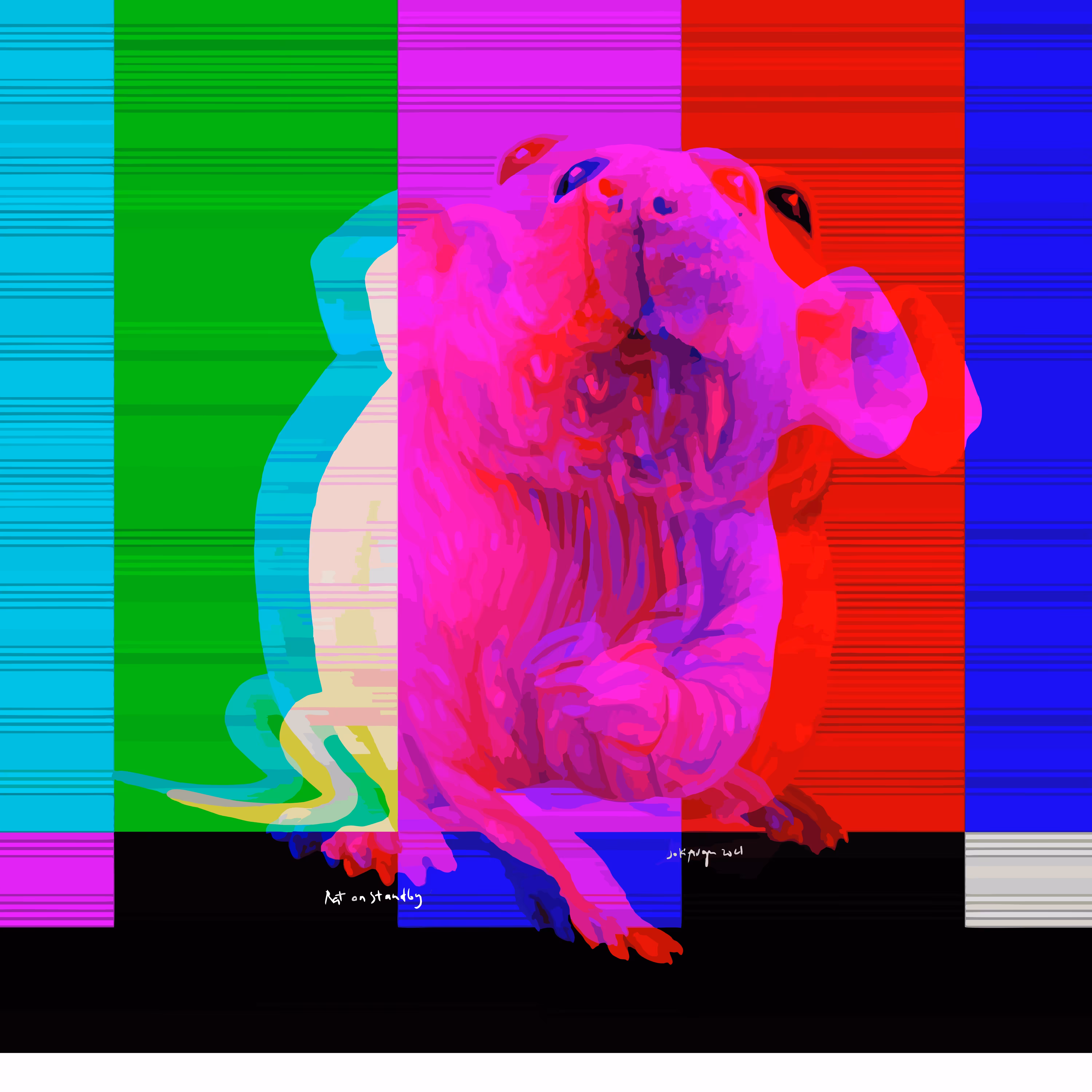 rat on standby