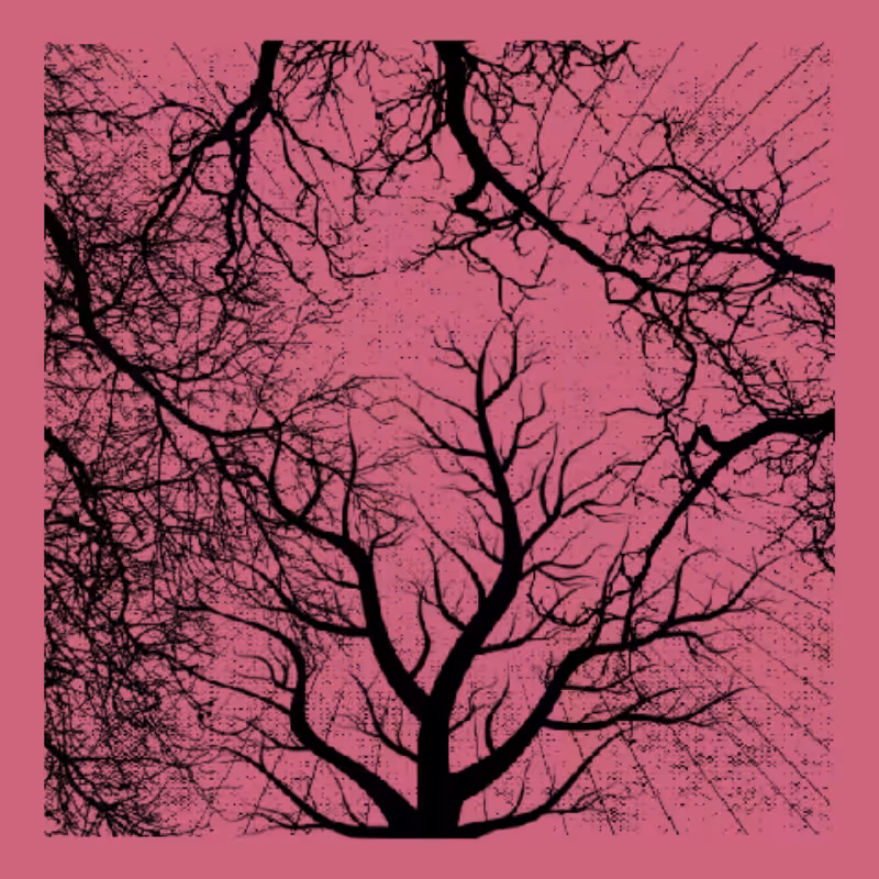 Forest of Shadows #47