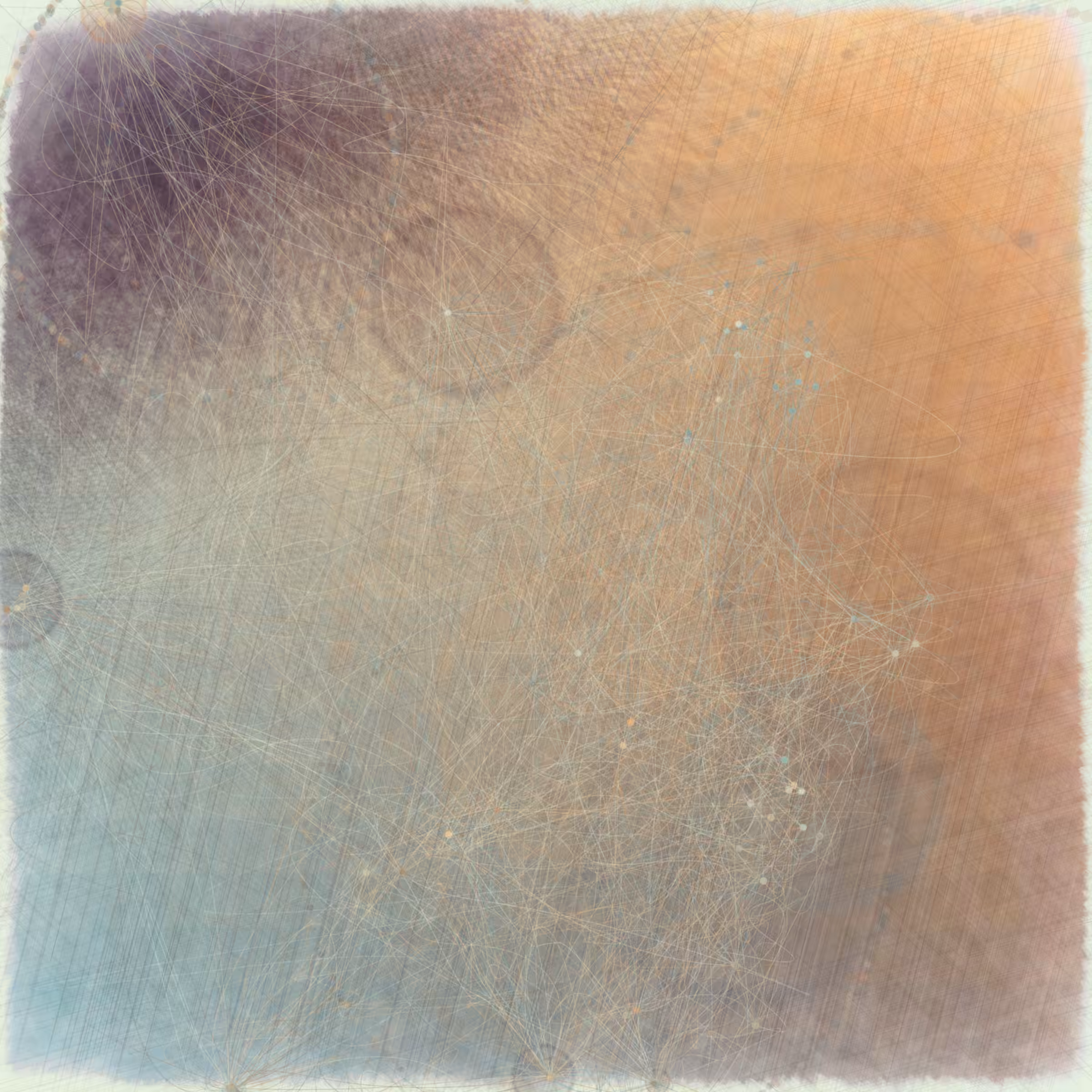 Reticulum