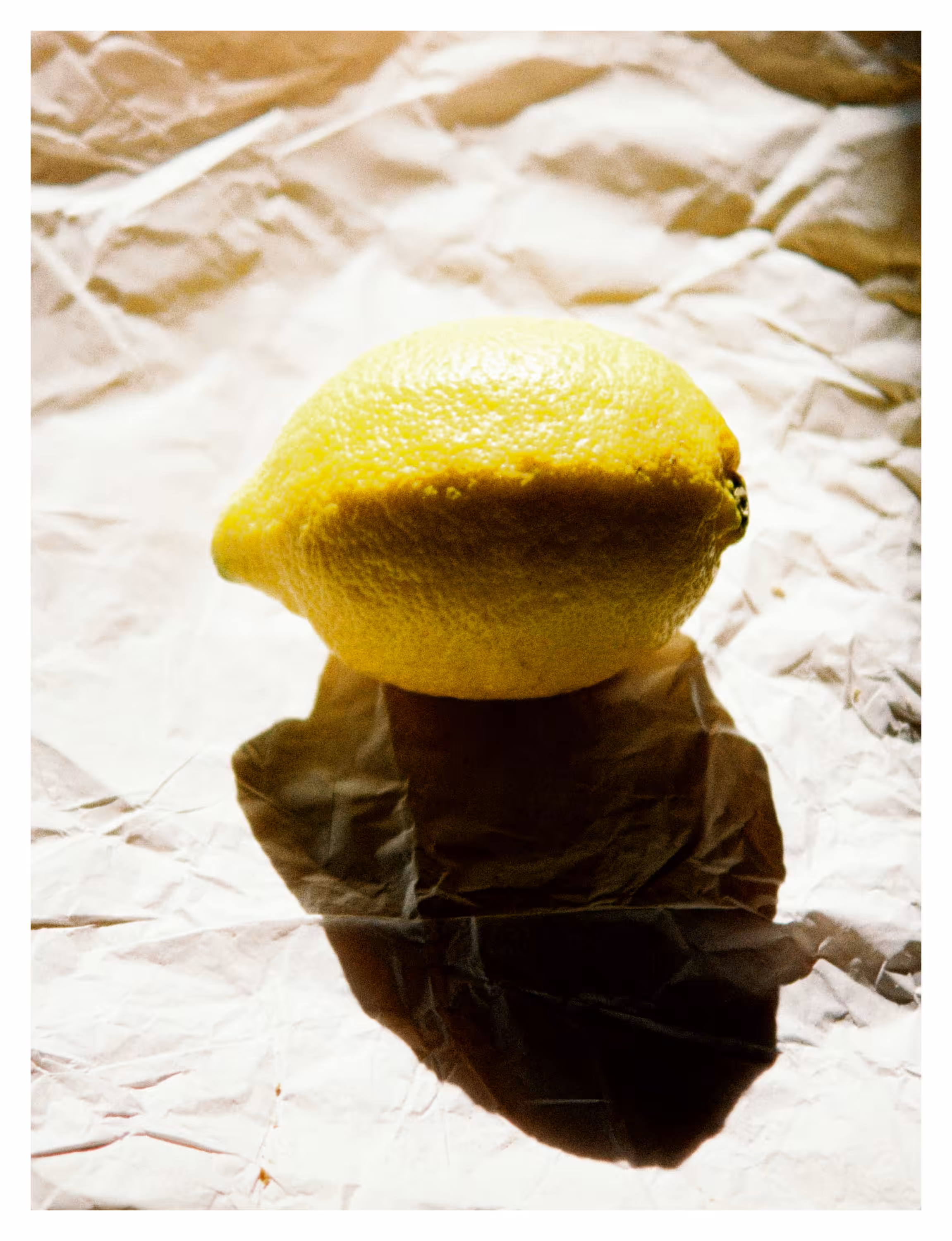 One Lemon - Still Life
